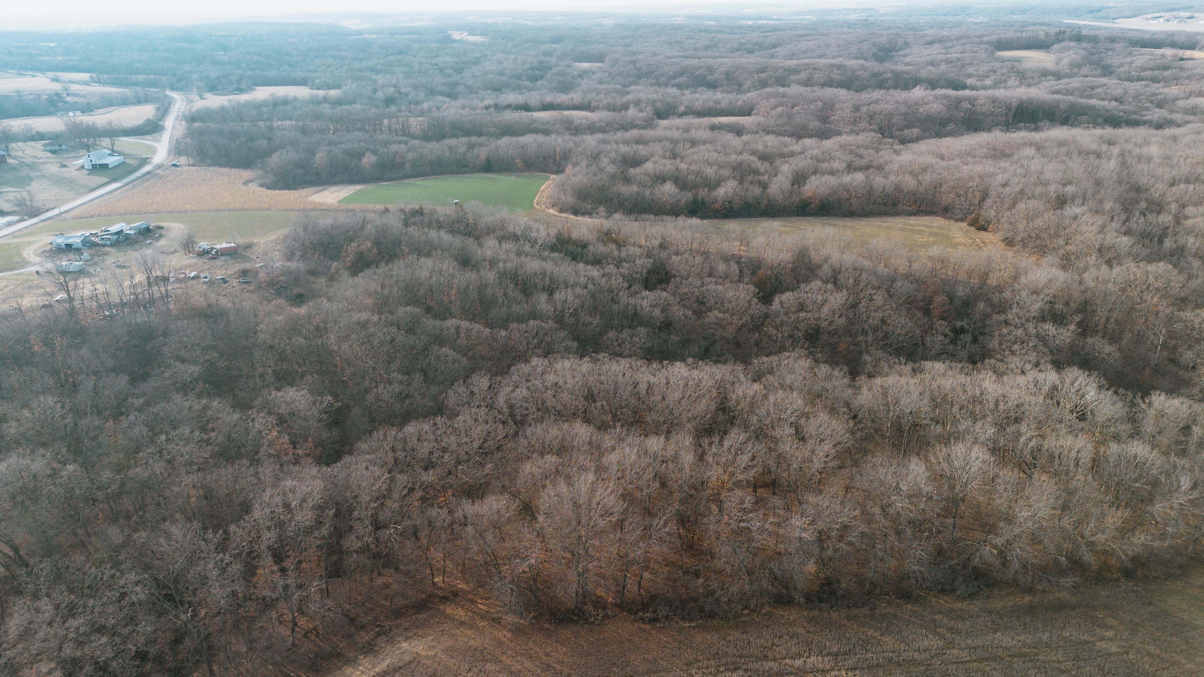 31702 127th Street - image 18