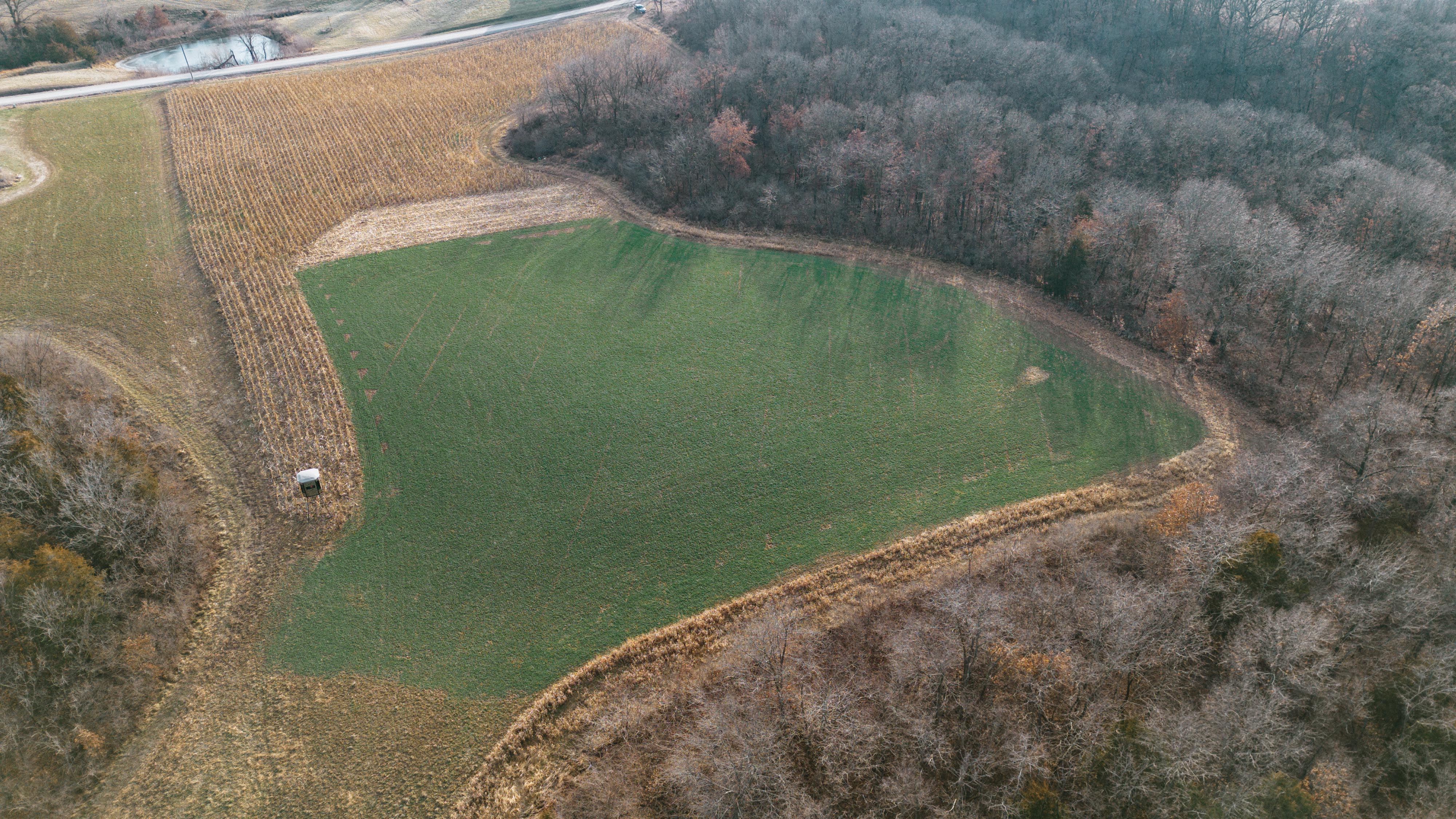 31702 127th Street - image 21