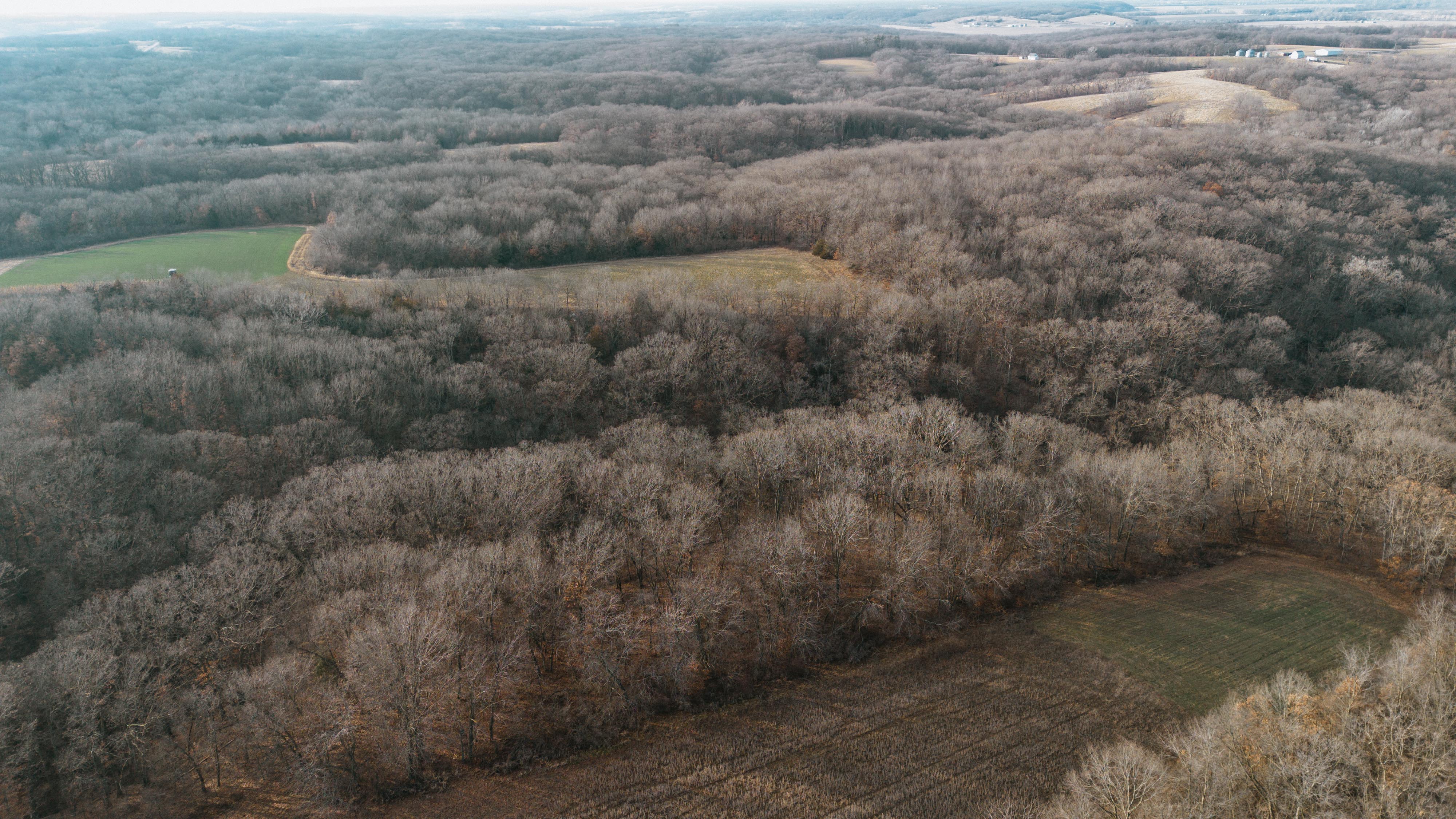 31702 127th Street - image 19