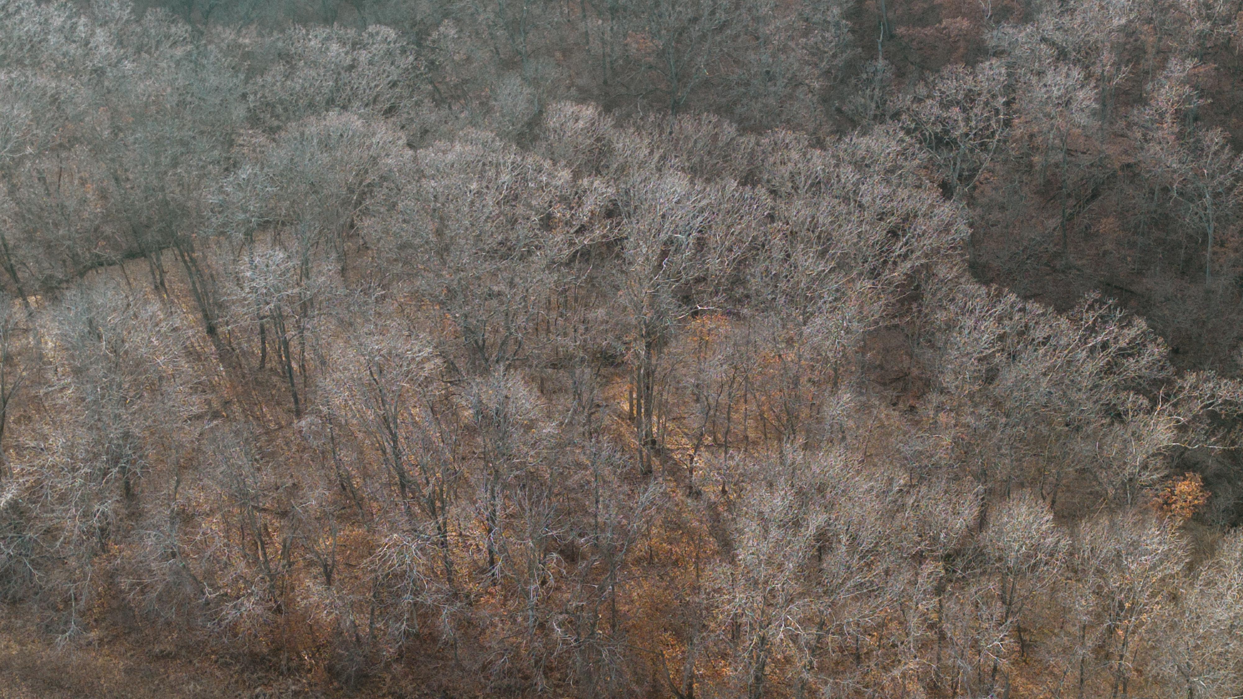 31702 127th Street - image 20