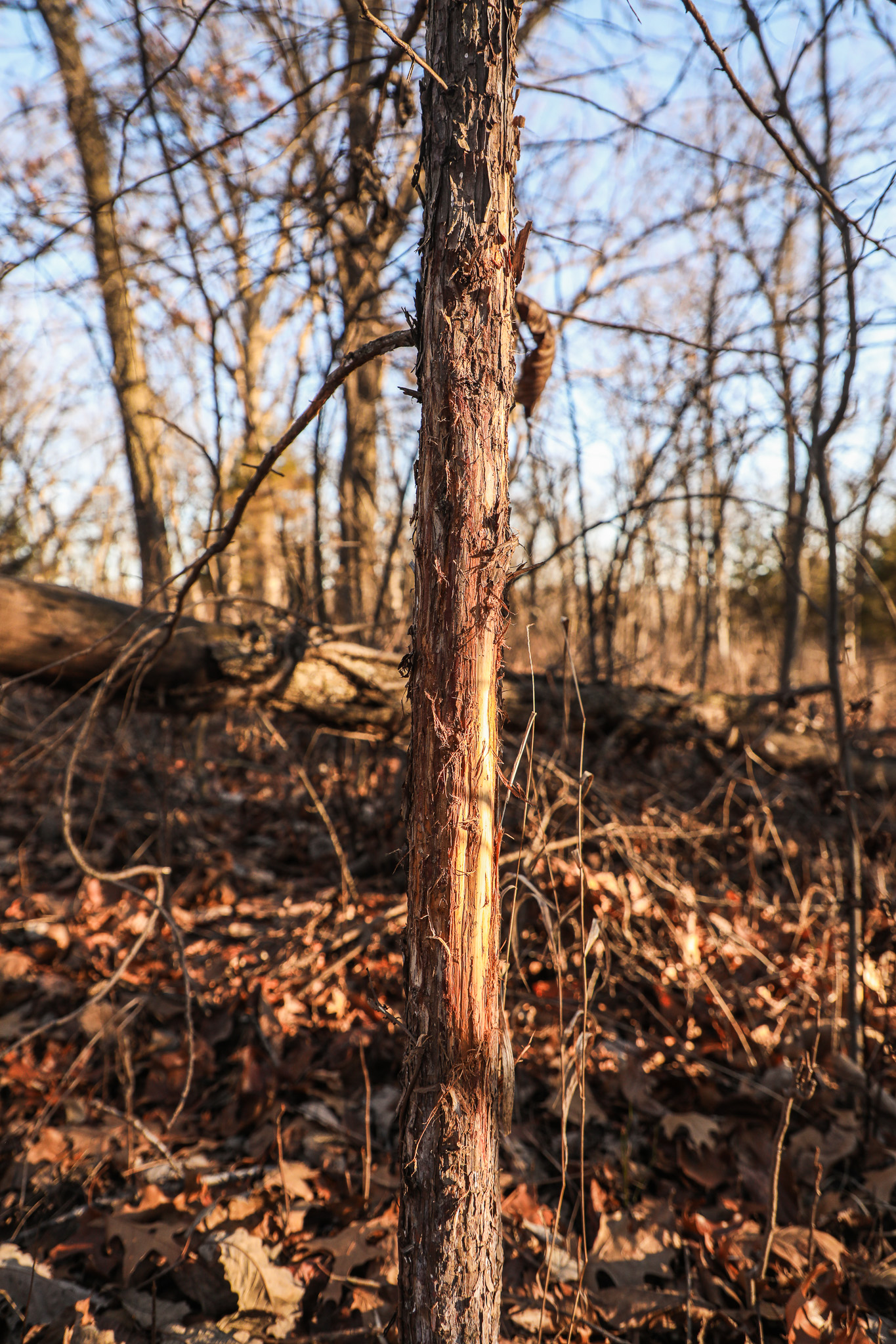 Robinson, KS 66532 - image 46