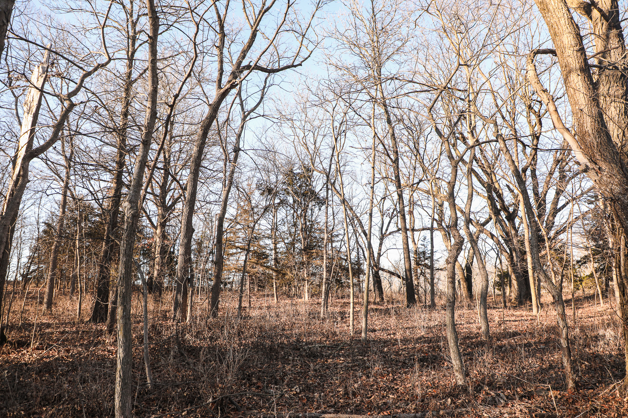 Robinson, KS 66532 - image 49