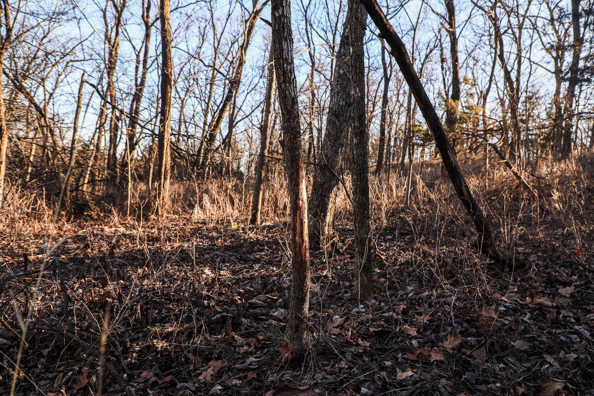 Robinson, KS 66532 - image 44