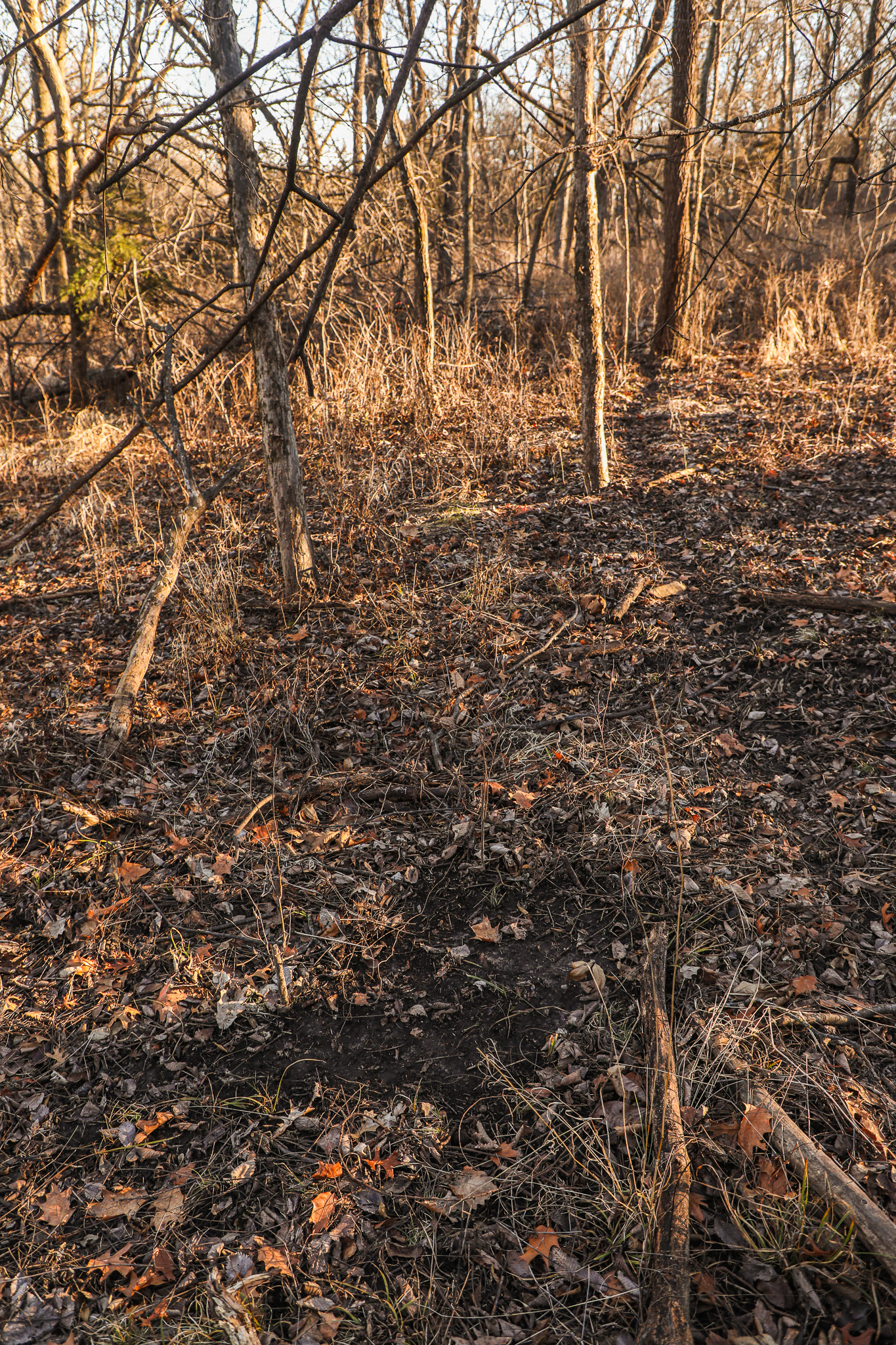 Robinson, KS 66532 - image 43