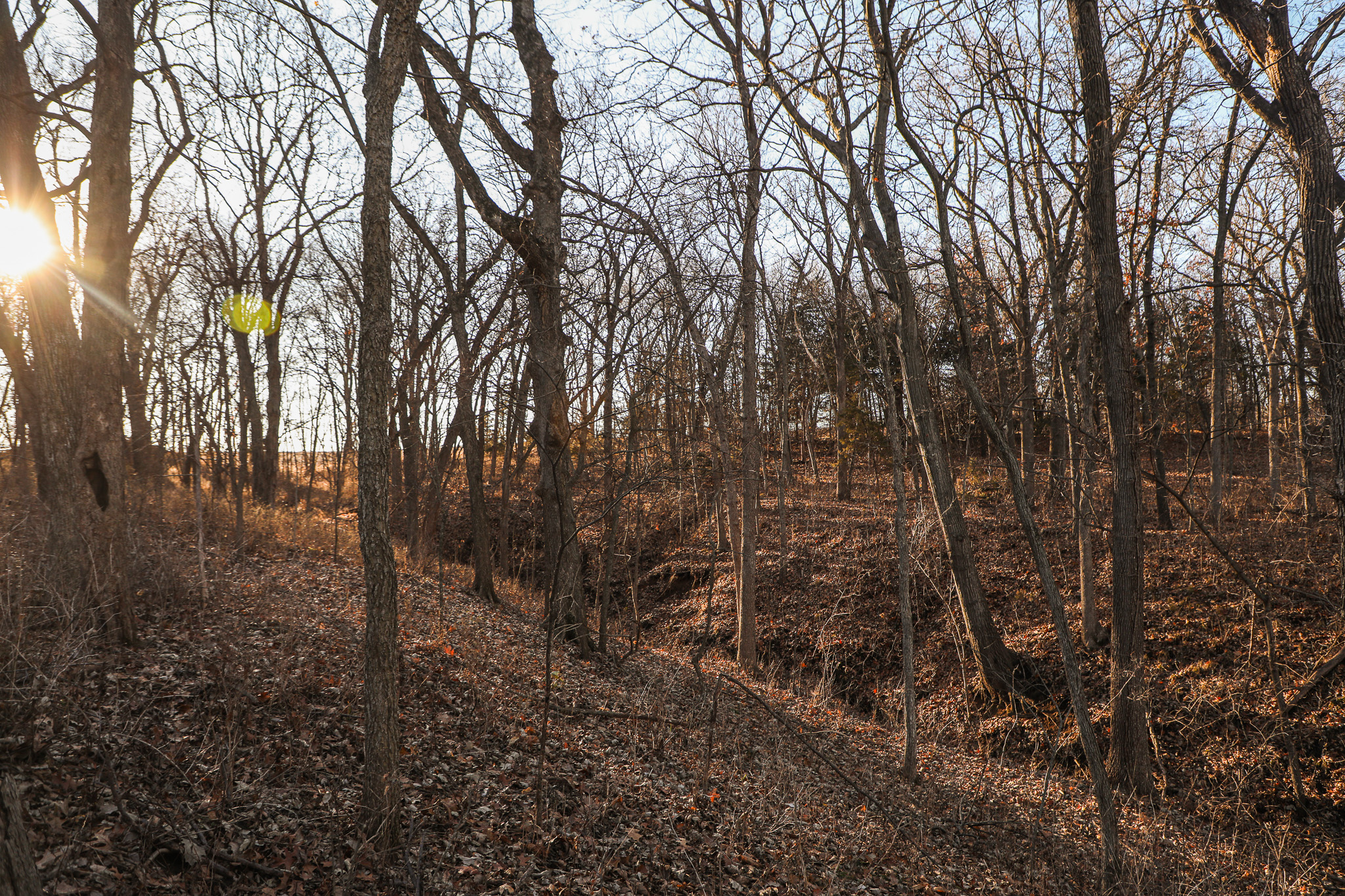 Robinson, KS 66532 - image 41