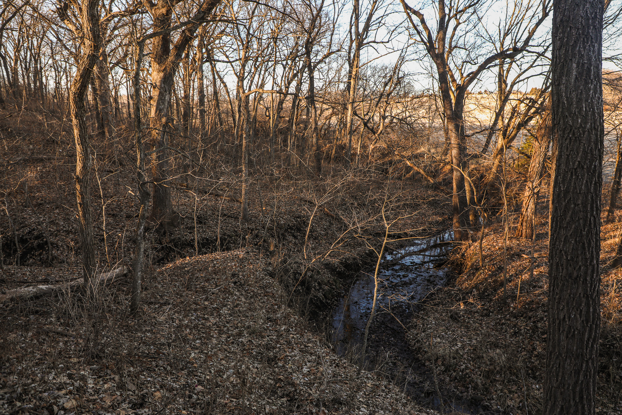 Robinson, KS 66532 - image 40