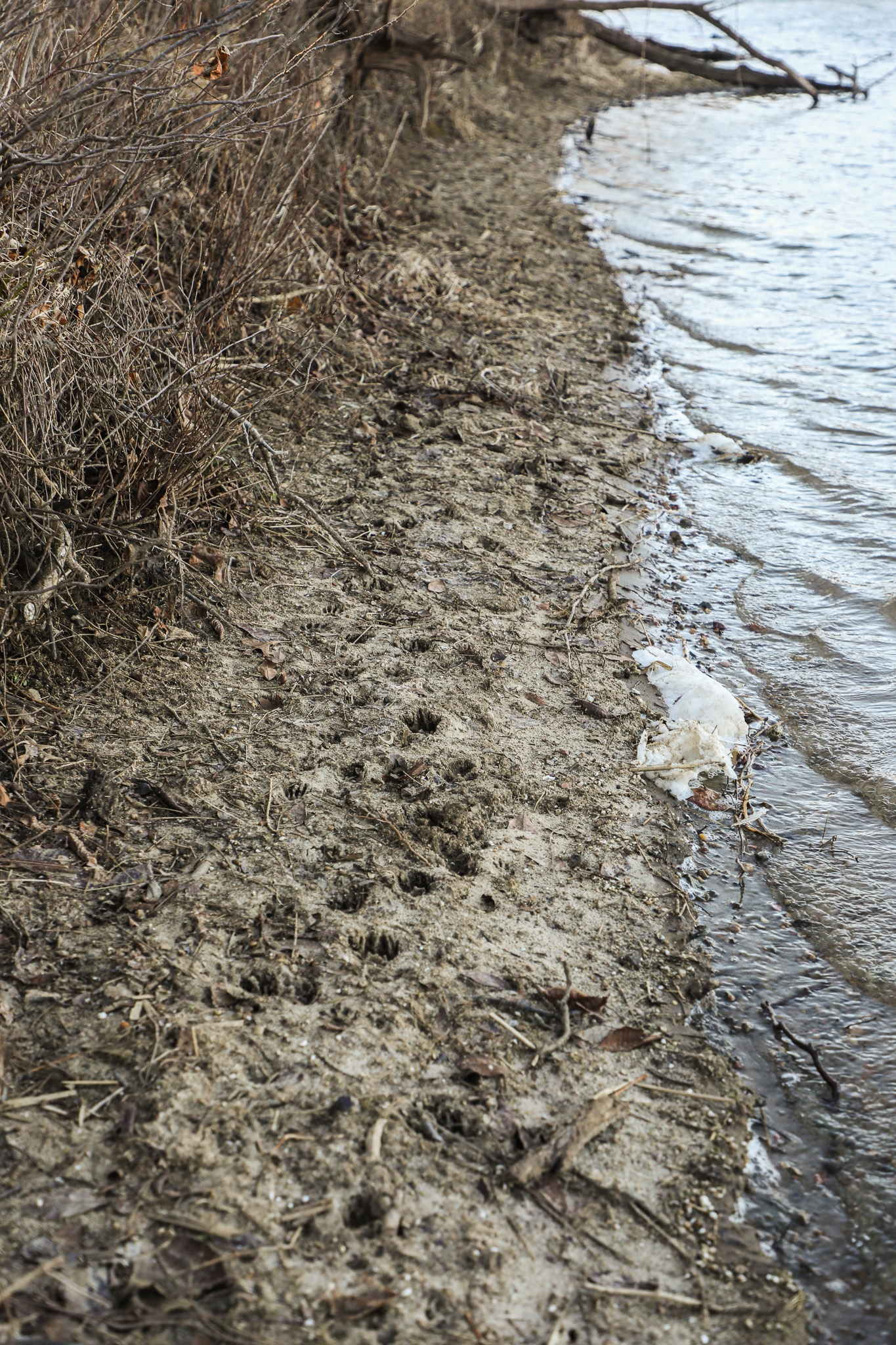 Robinson, KS 66532 - image 31