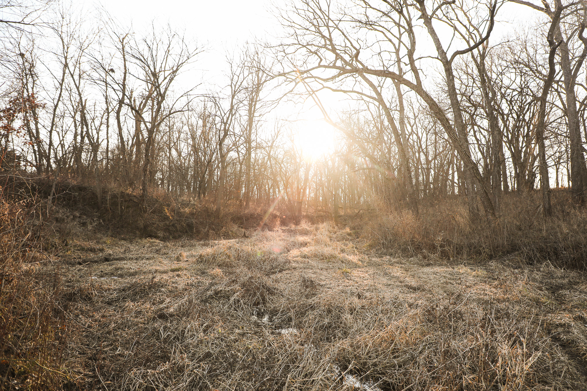 Robinson, KS 66532 - image 28