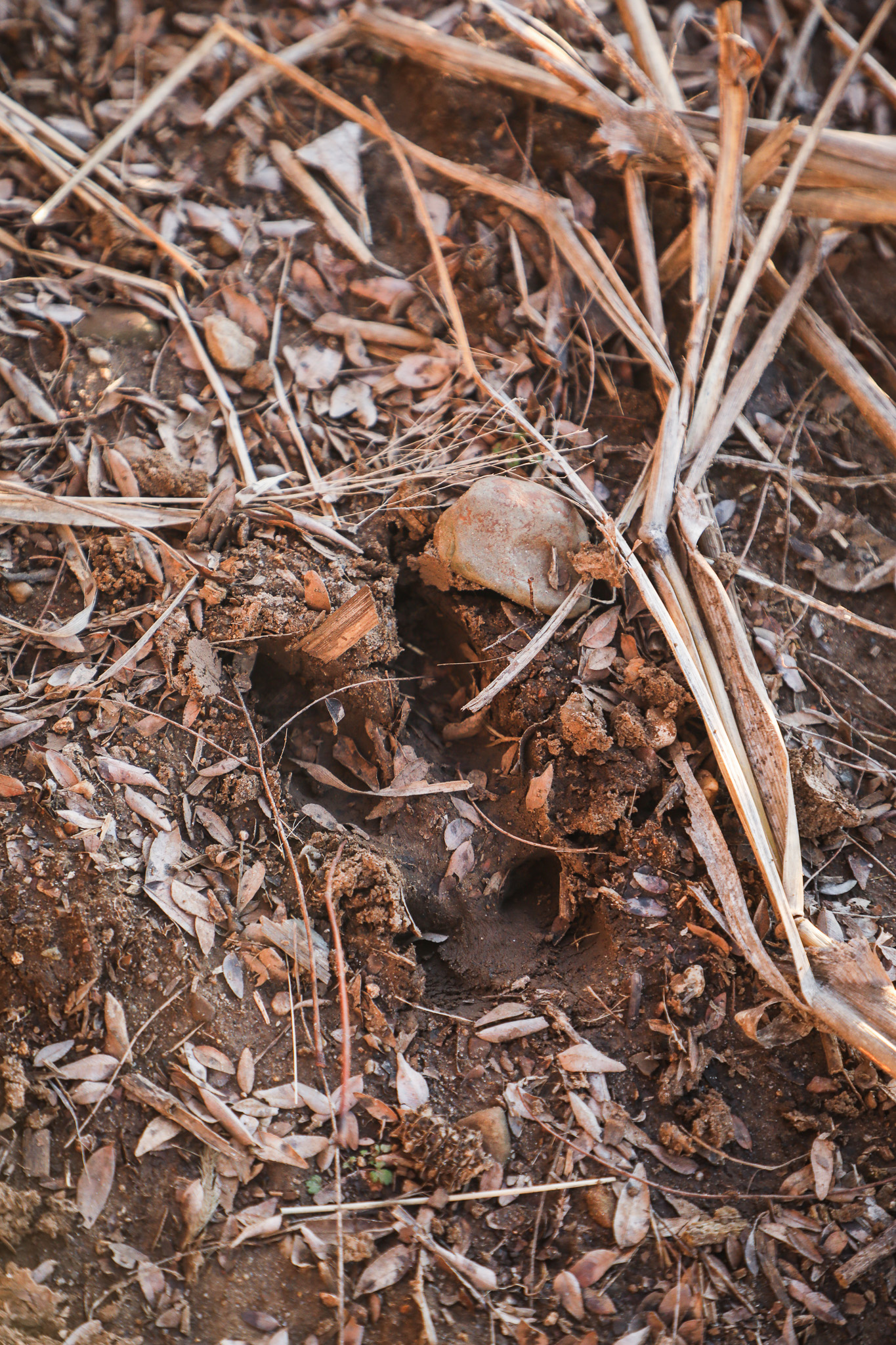 Robinson, KS 66532 - image 25