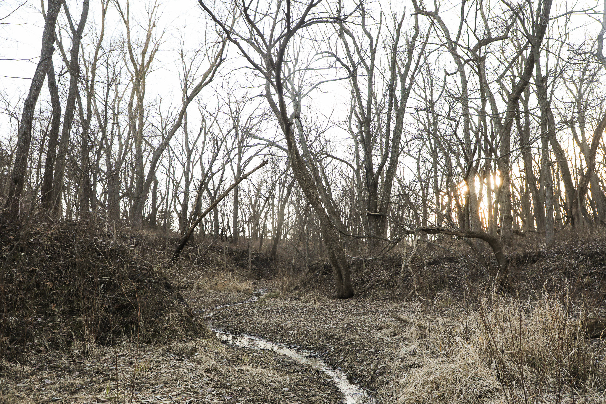 Robinson, KS 66532 - image 22