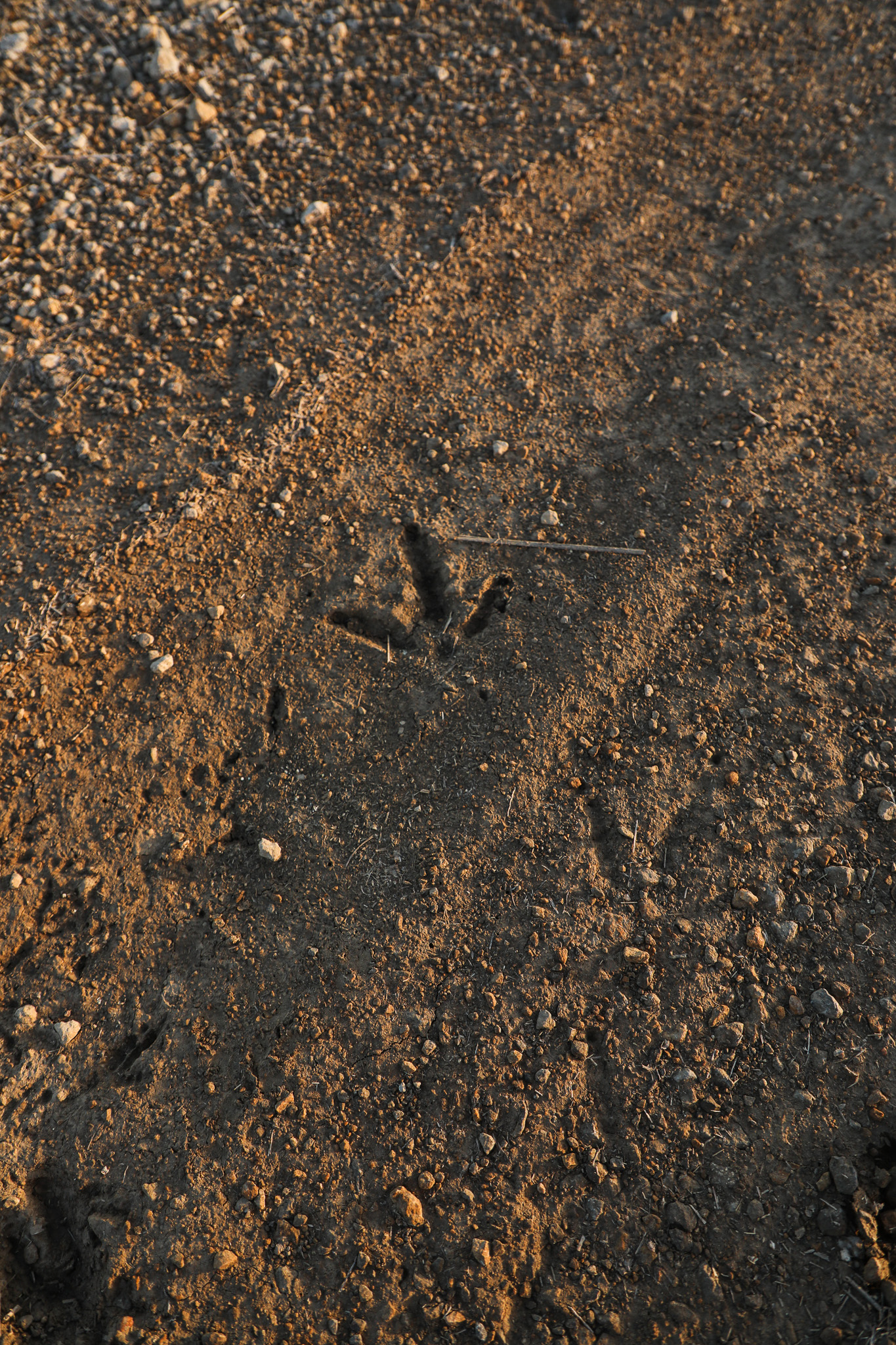 Robinson, KS 66532 - image 23