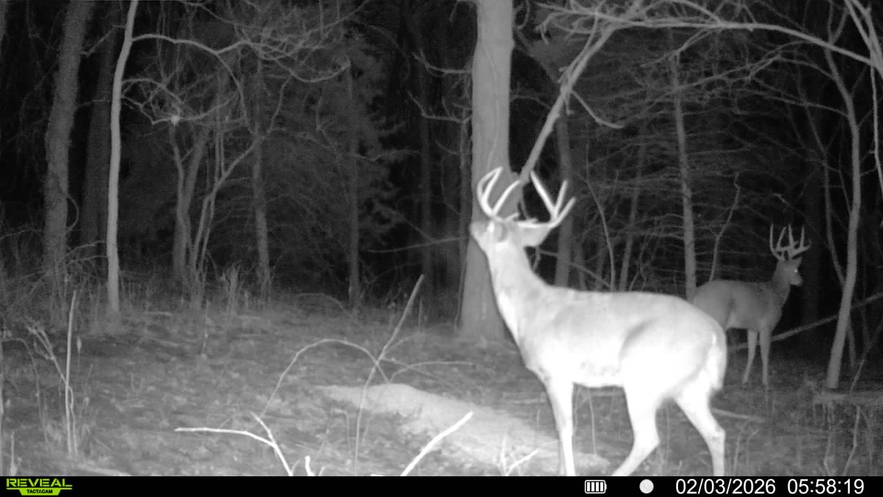 Robinson, KS 66532 - image 48