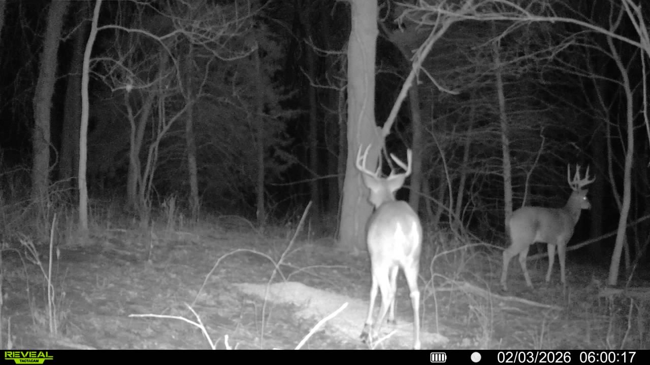 Robinson, KS 66532 - image 26