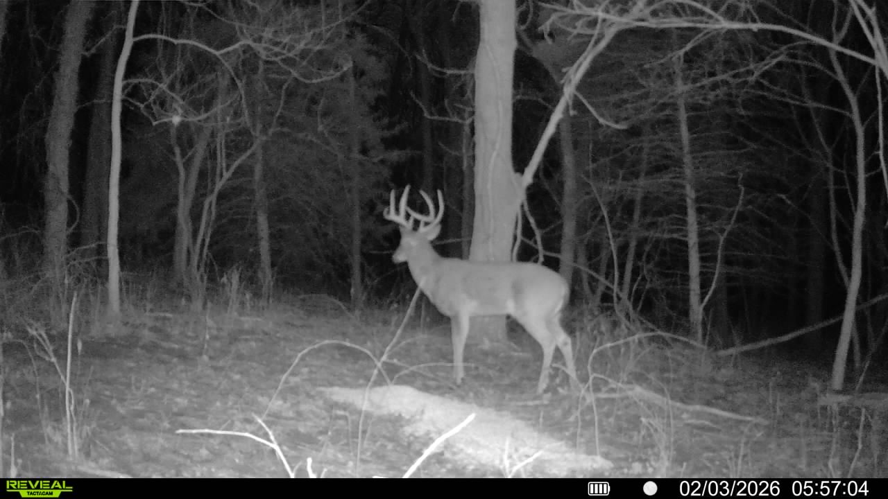 Robinson, KS 66532 - image 32