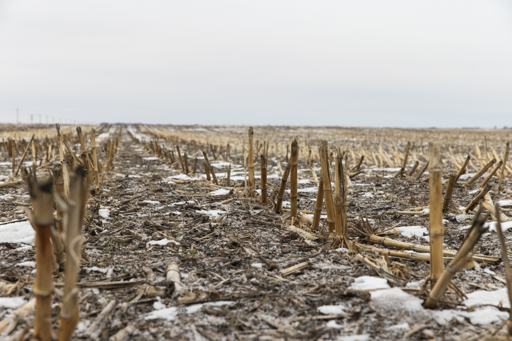 Frankfort, SD 57440 - image 17