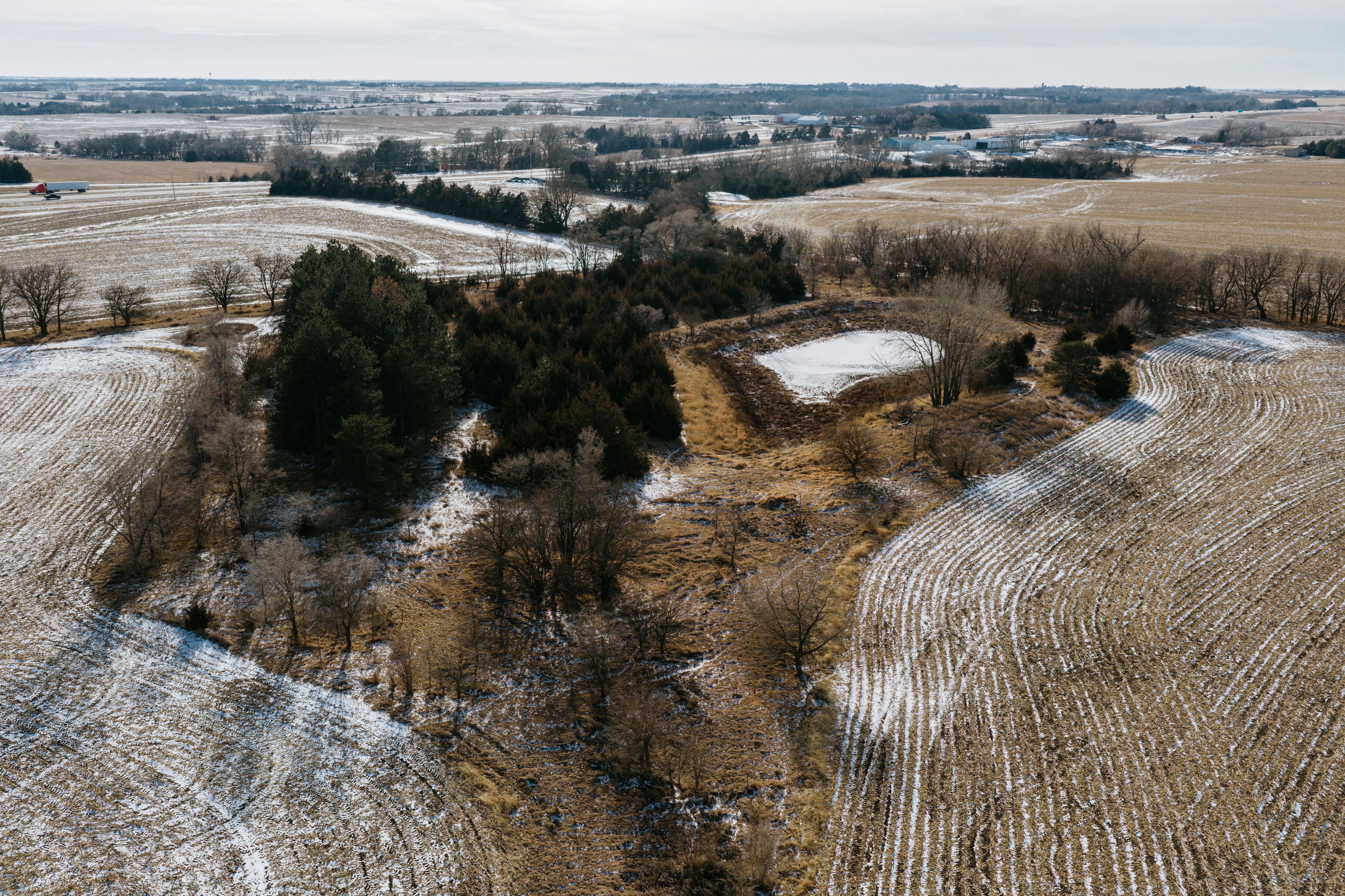 9725 South 148th Street - image 15