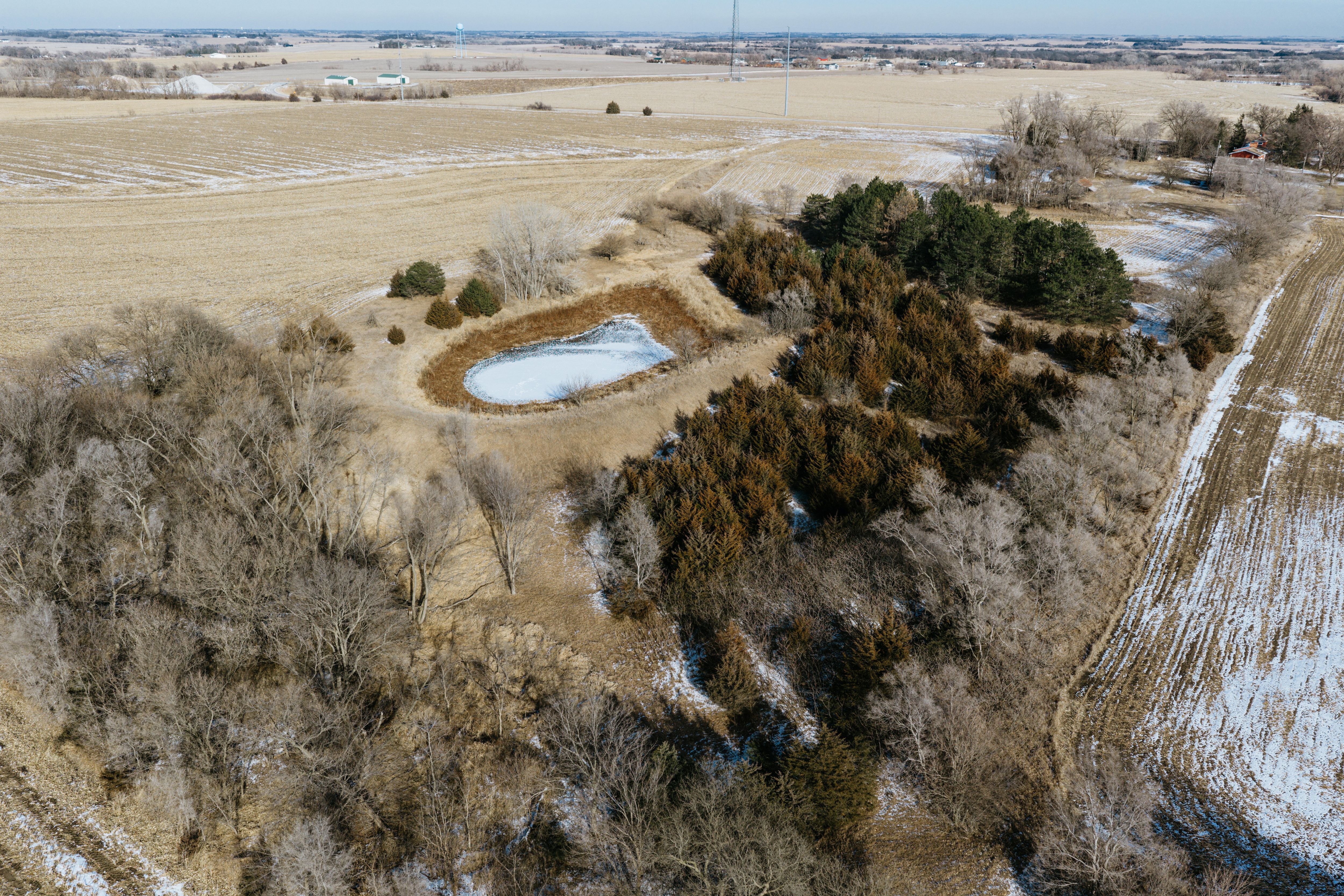 9725 South 148th Street - image 10