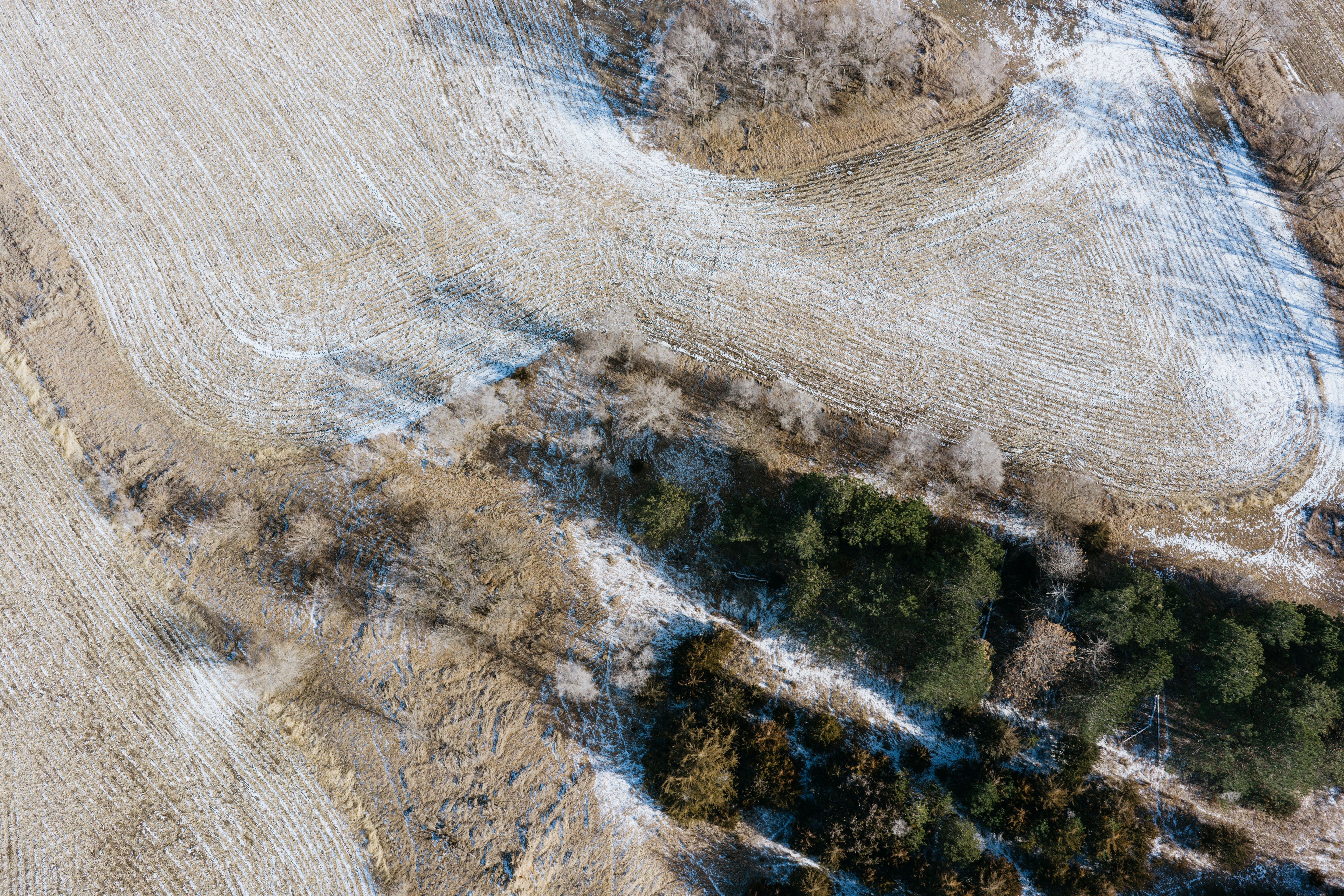 9725 South 148th Street - image 28