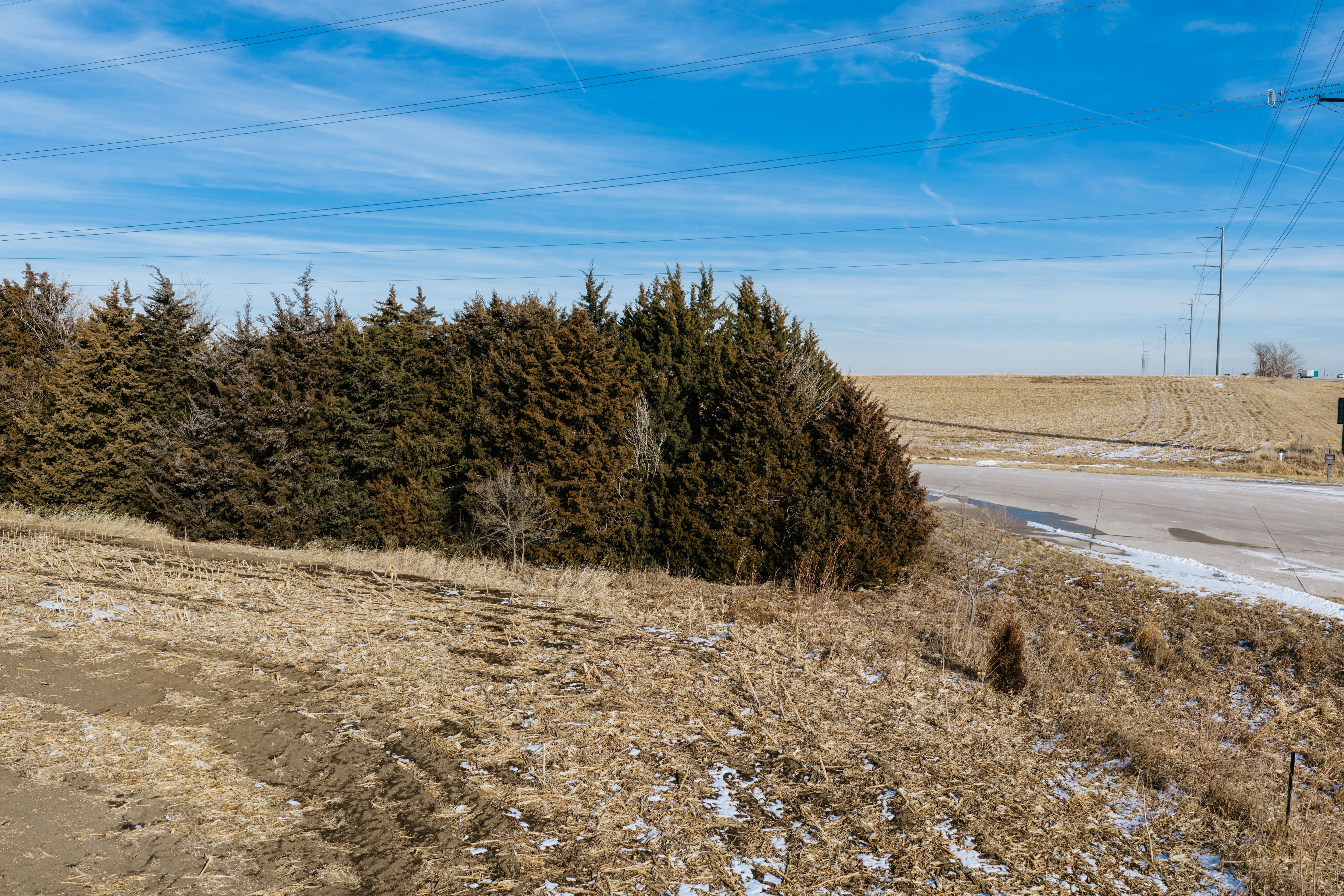 9725 South 148th Street - image 22