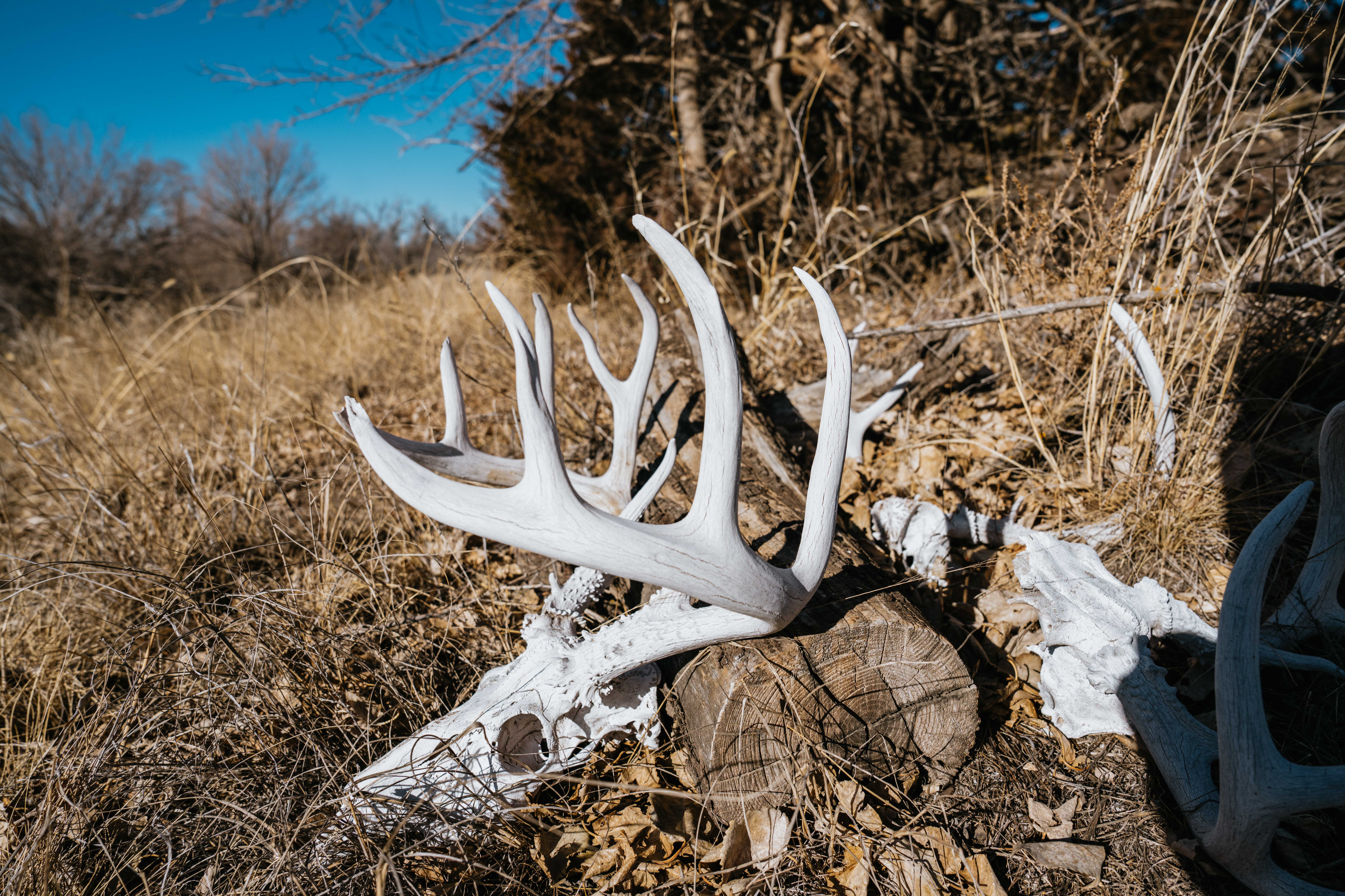 71345 Highway 25 - image 47