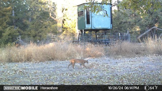 71345 Highway 25 - image 8