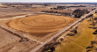 Grand Island, NE 68801