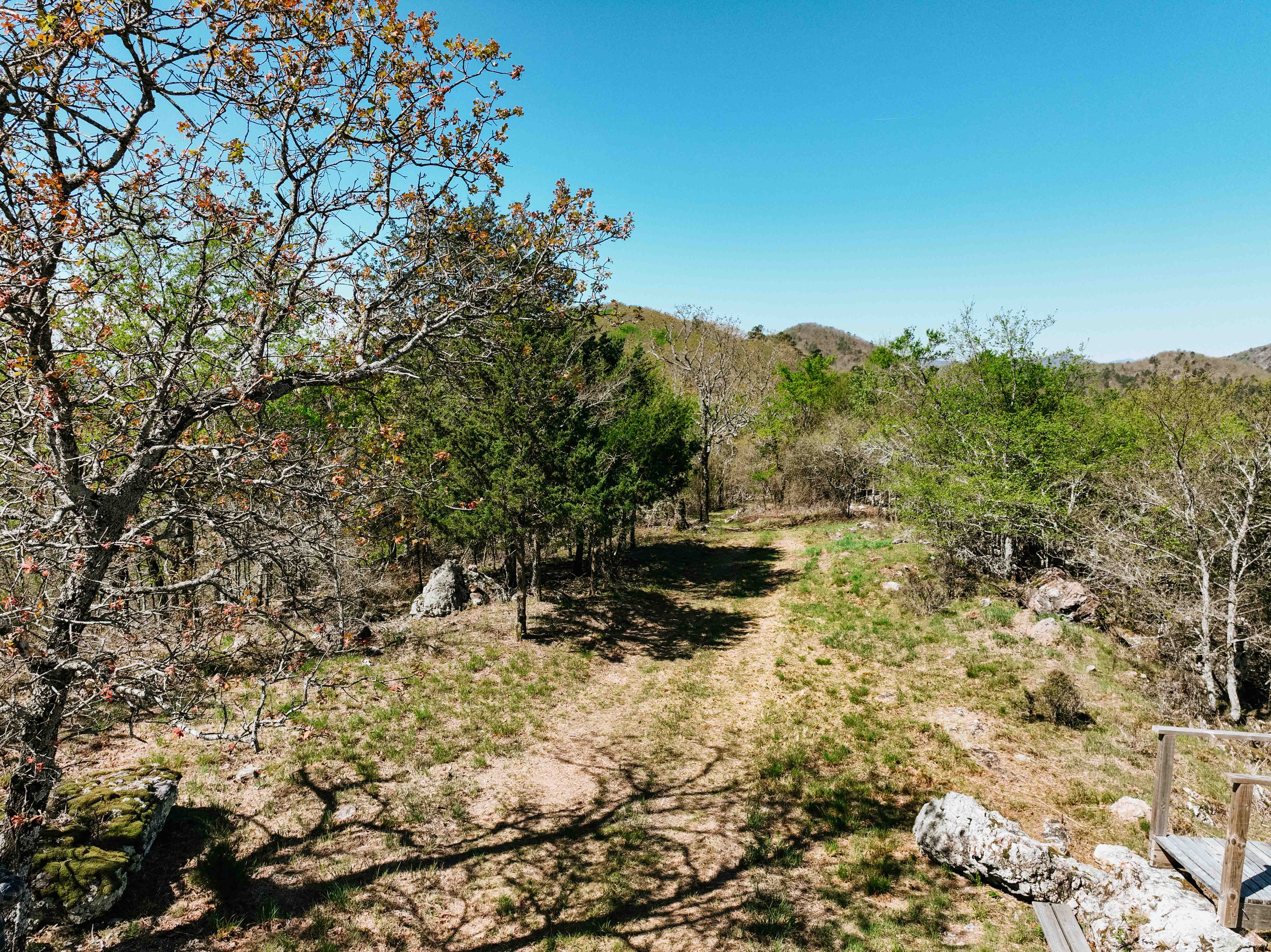 Glenwood, AR 71943 - image 39