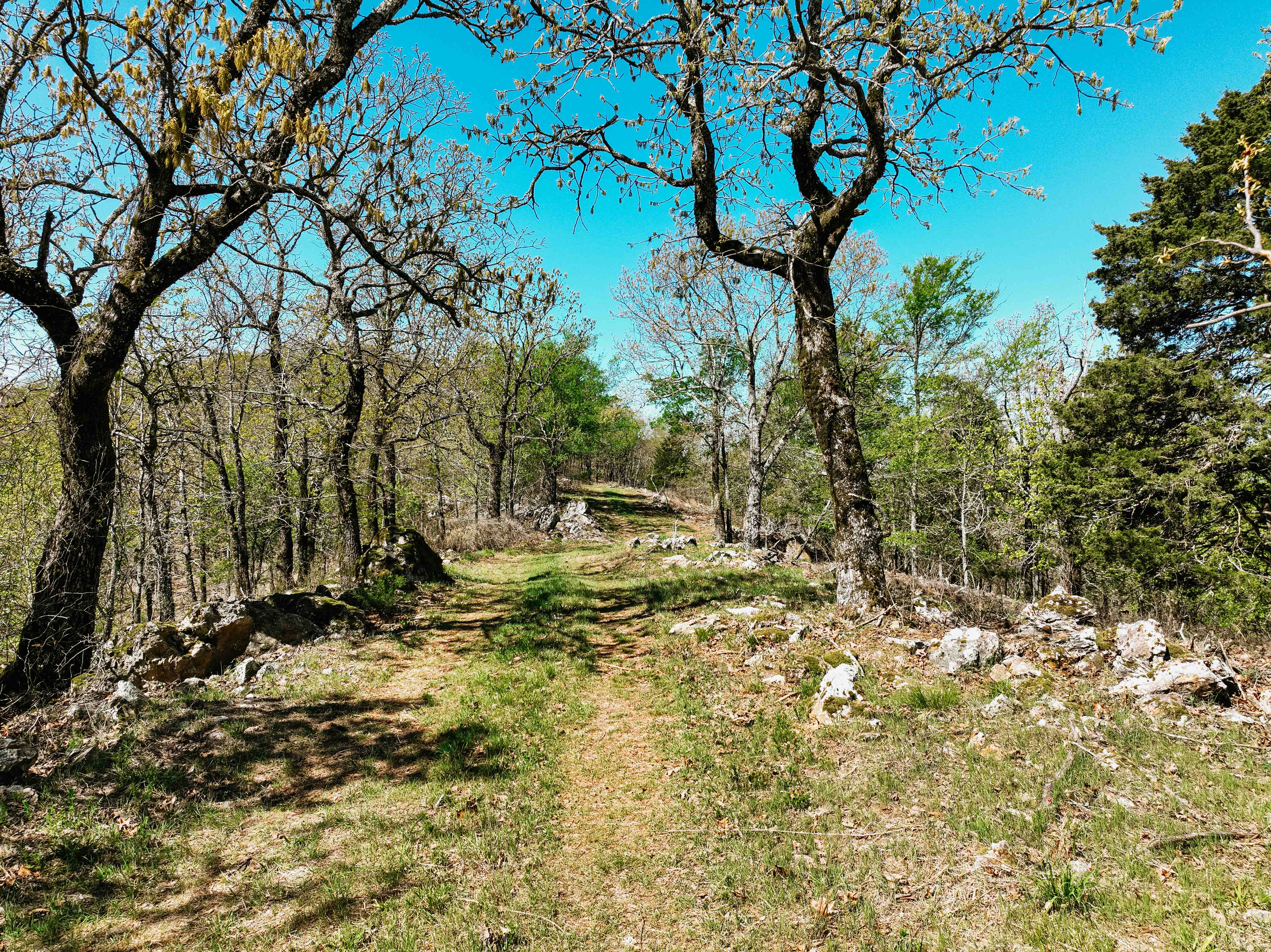 Glenwood, AR 71943 - image 41