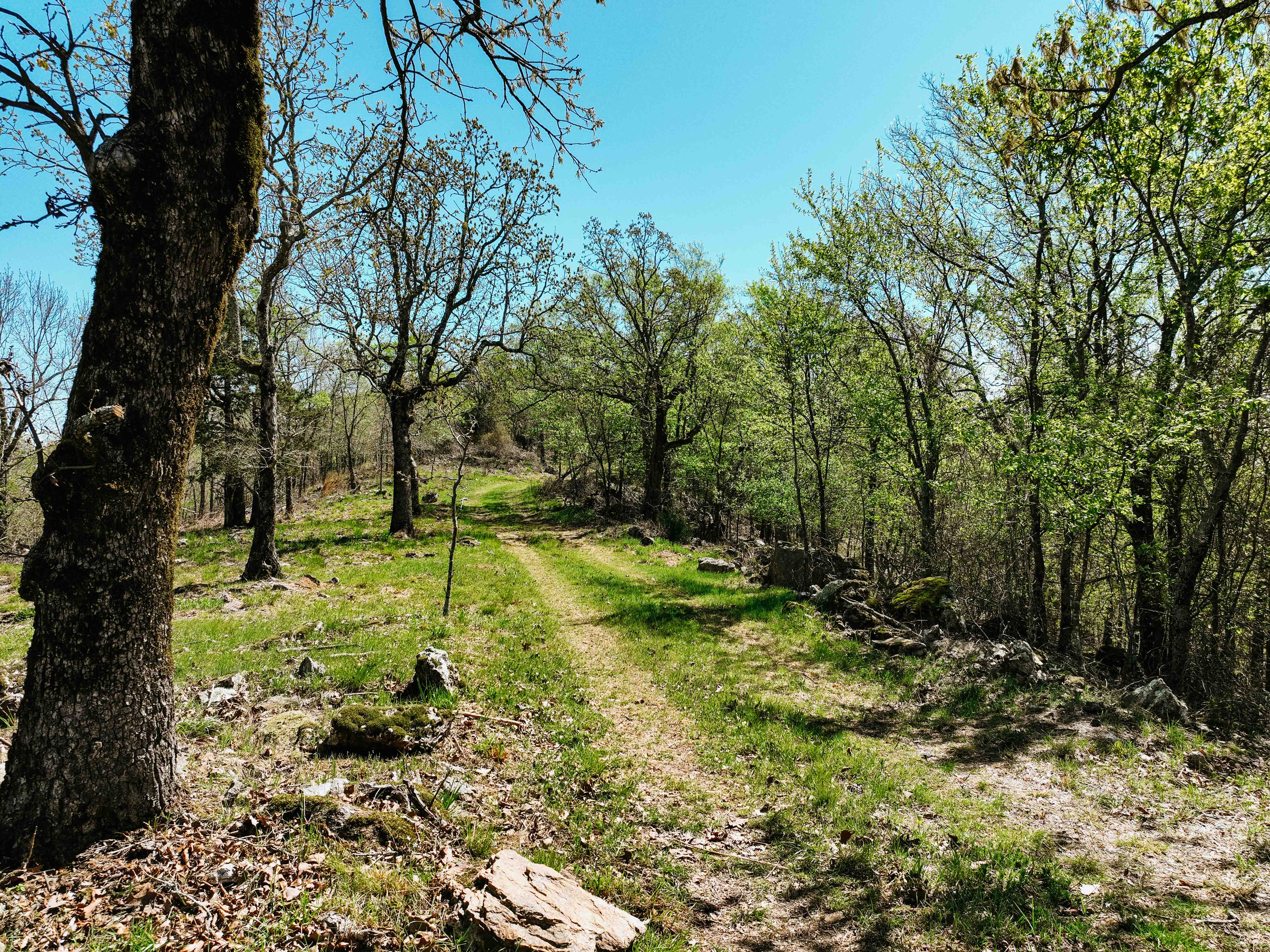 Glenwood, AR 71943 - image 38