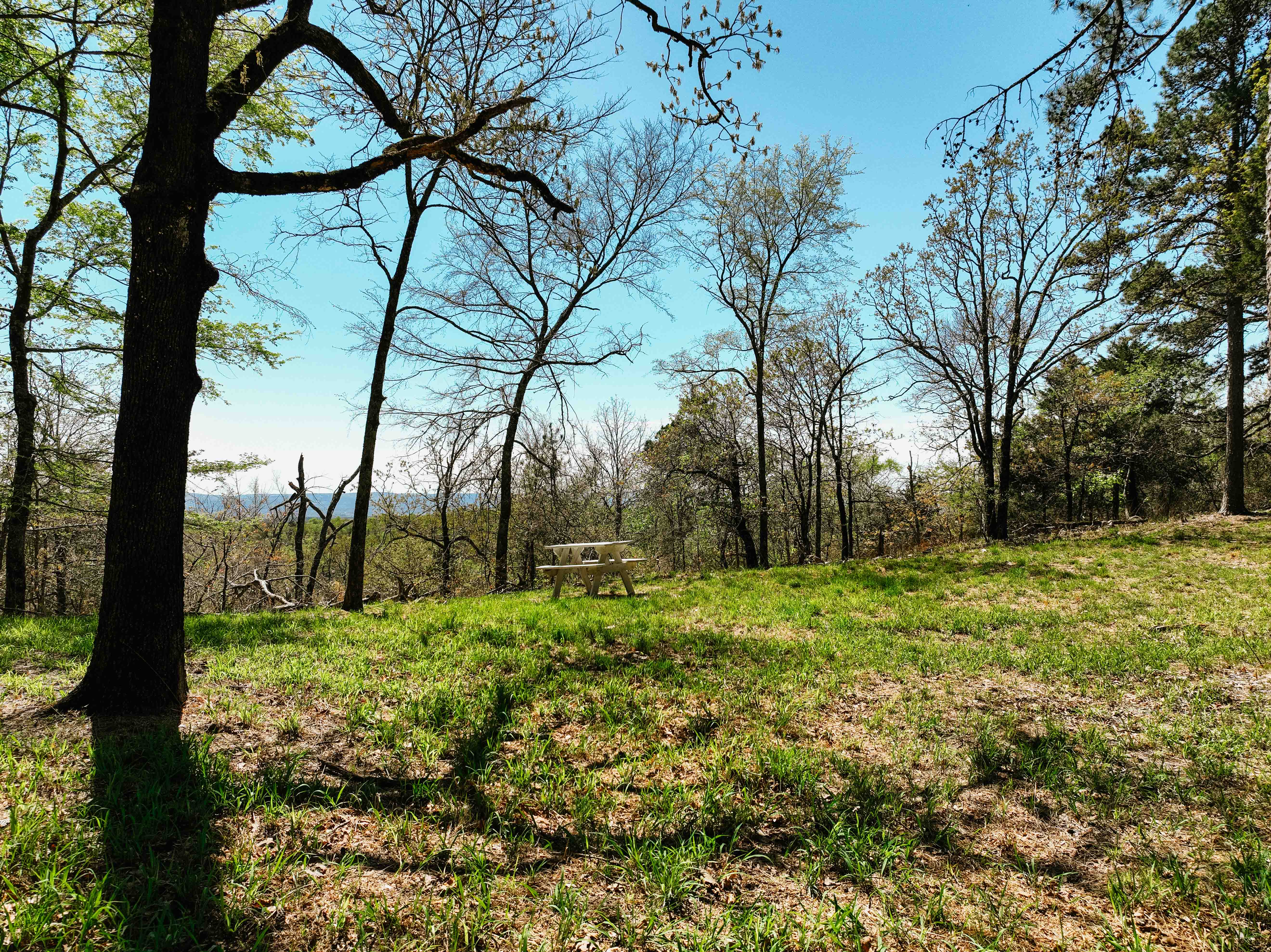 Glenwood, AR 71943 - image 40