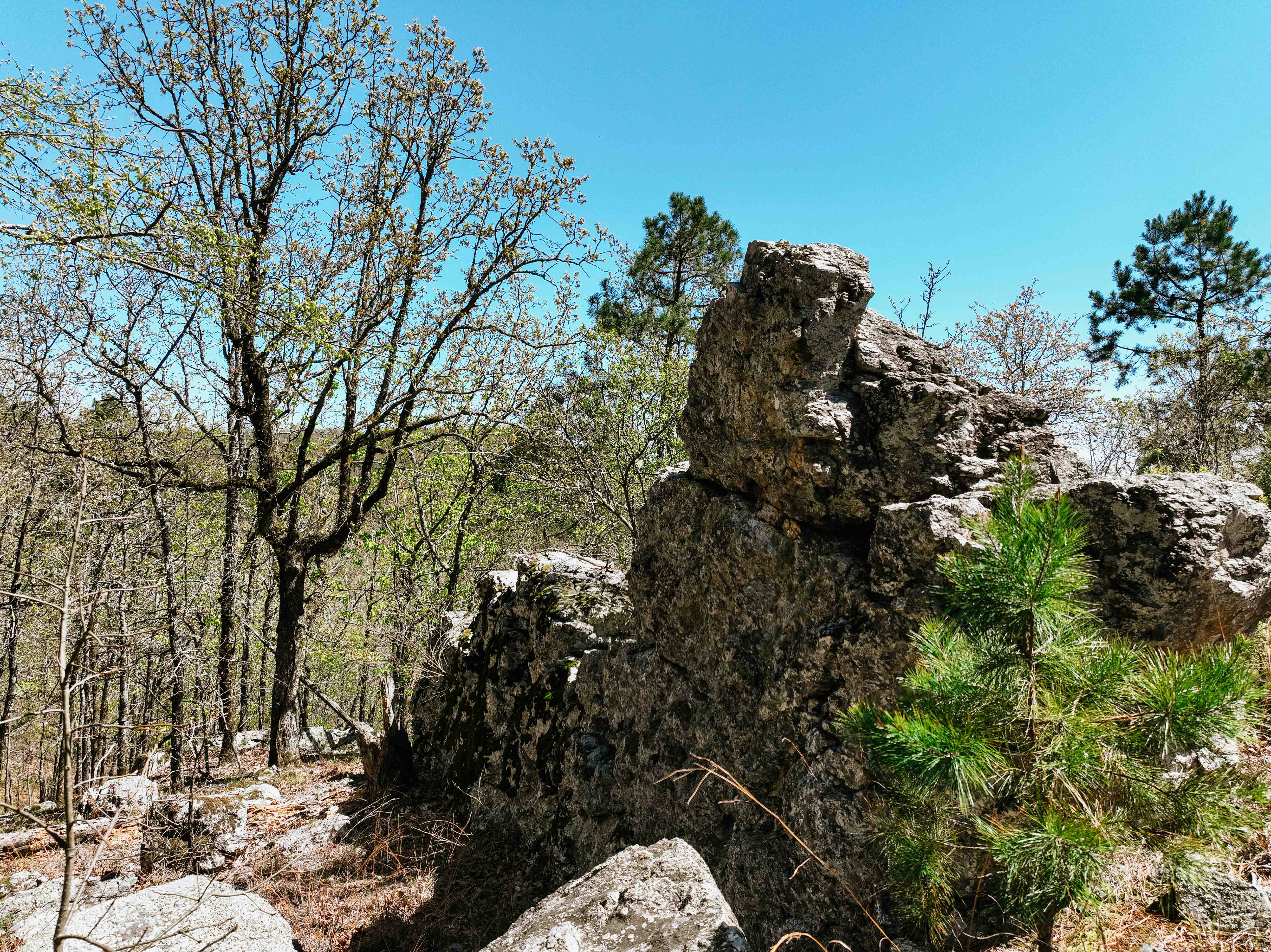Glenwood, AR 71943 - image 43