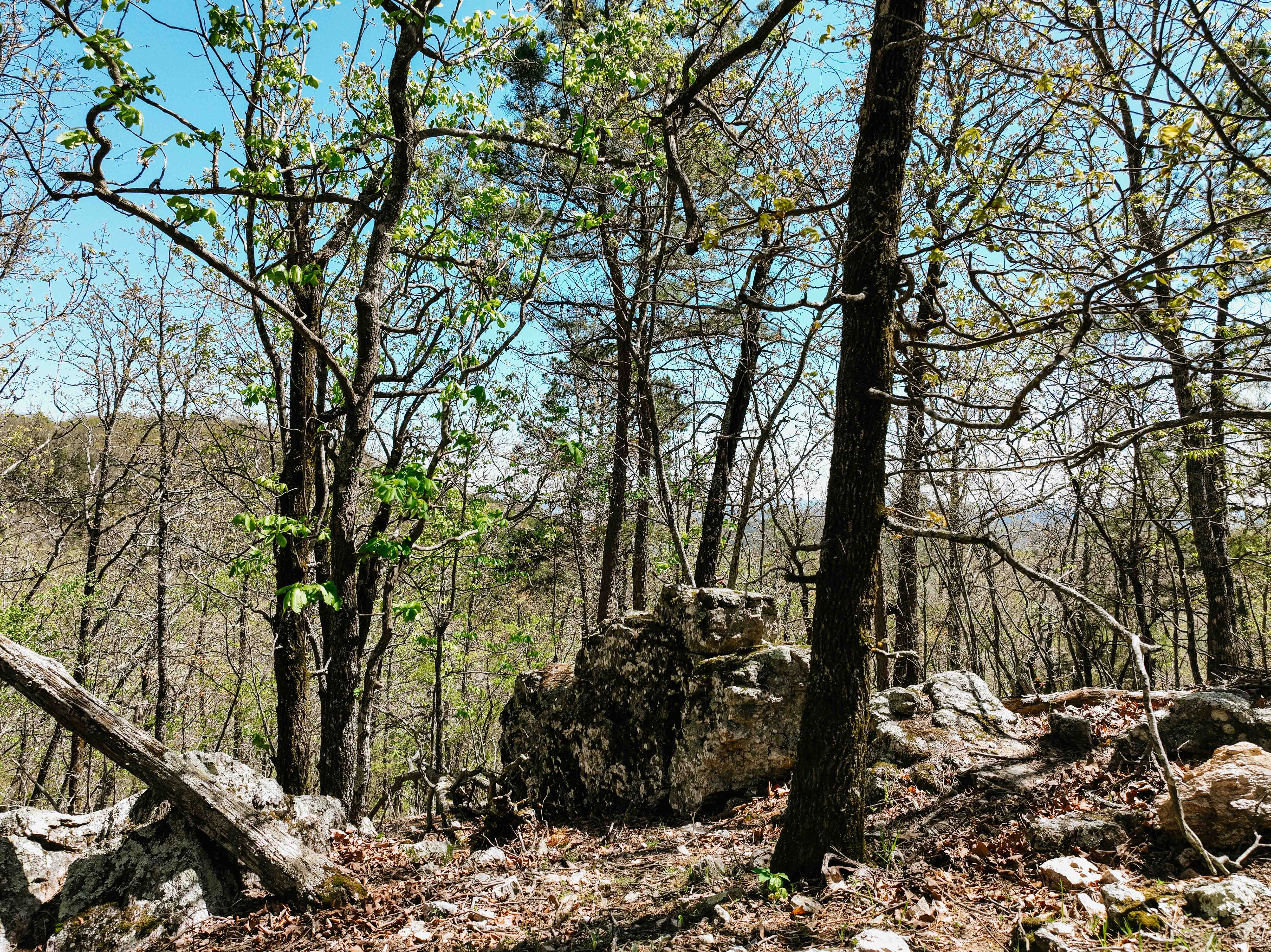 Glenwood, AR 71943 - image 44