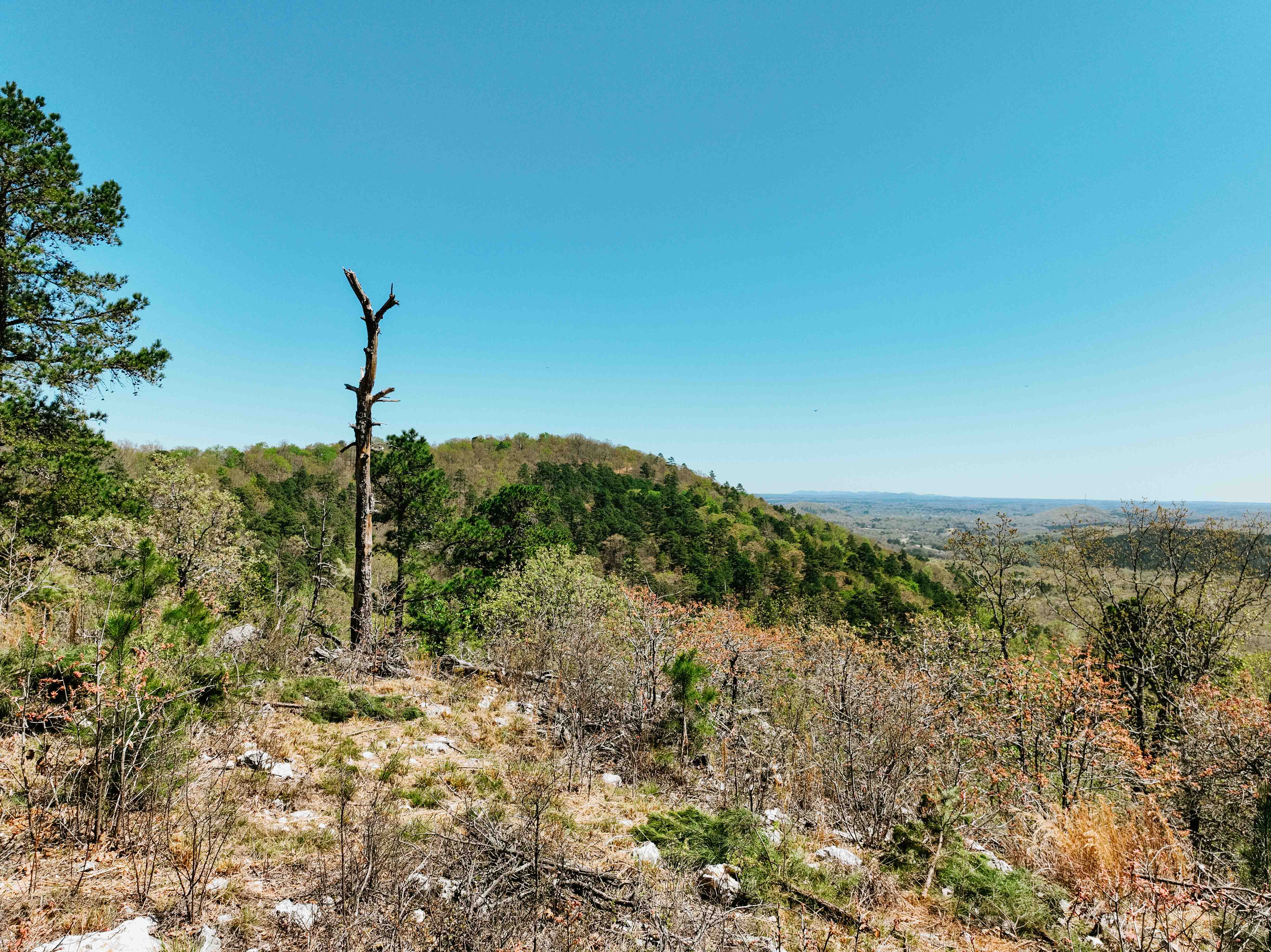 Glenwood, AR 71943 - image 37