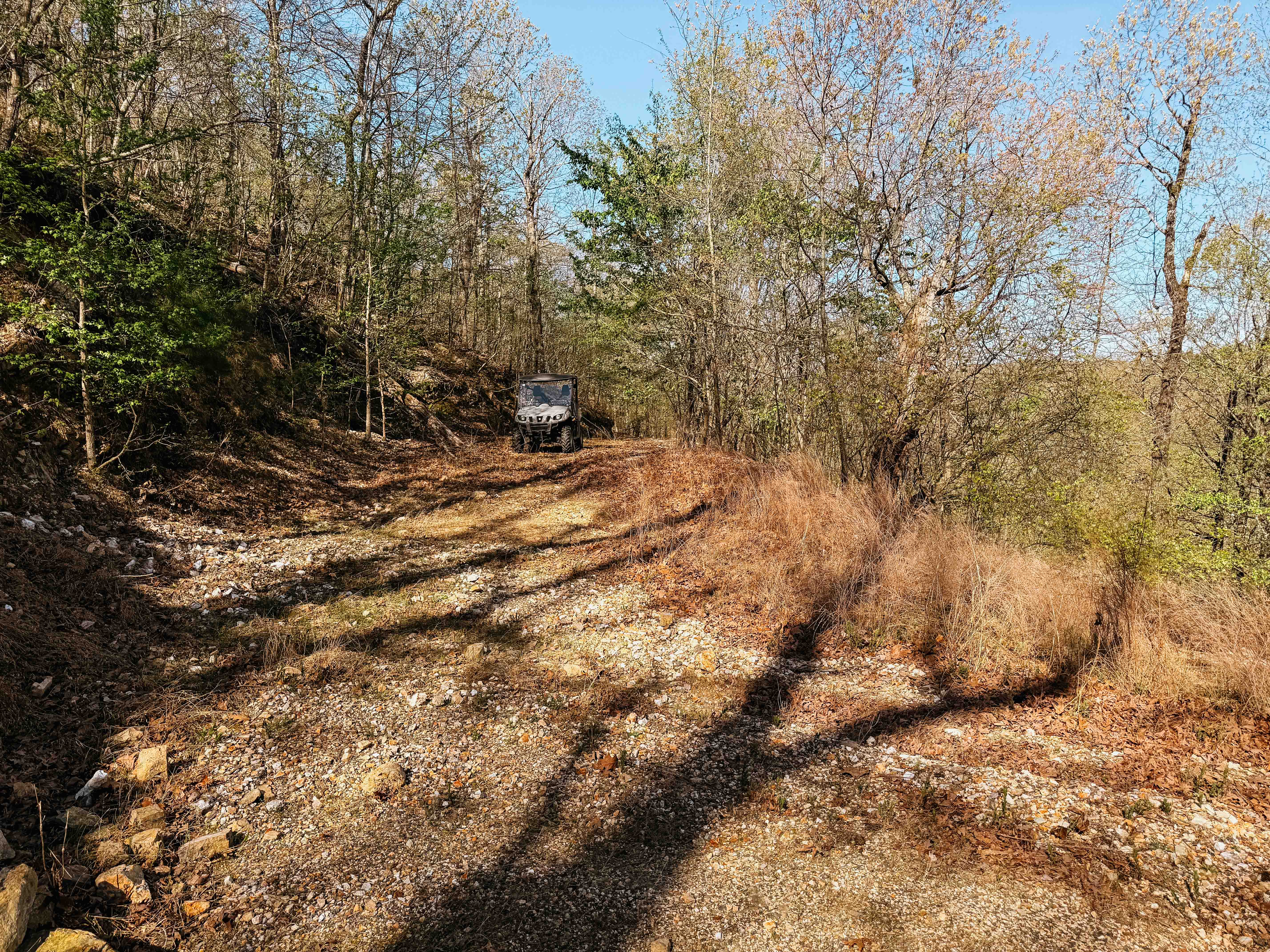 Glenwood, AR 71943 - image 48