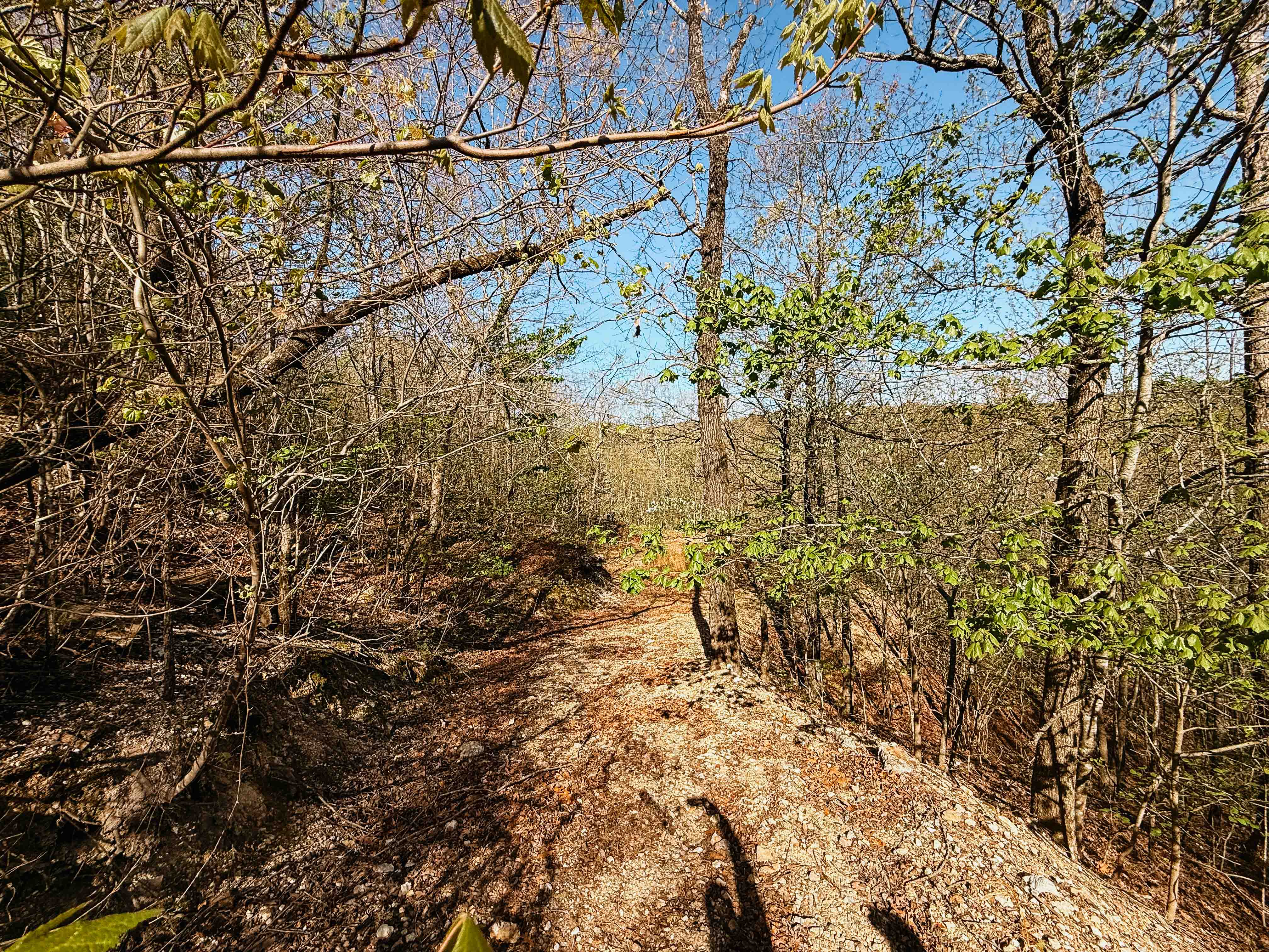 Glenwood, AR 71943 - image 47