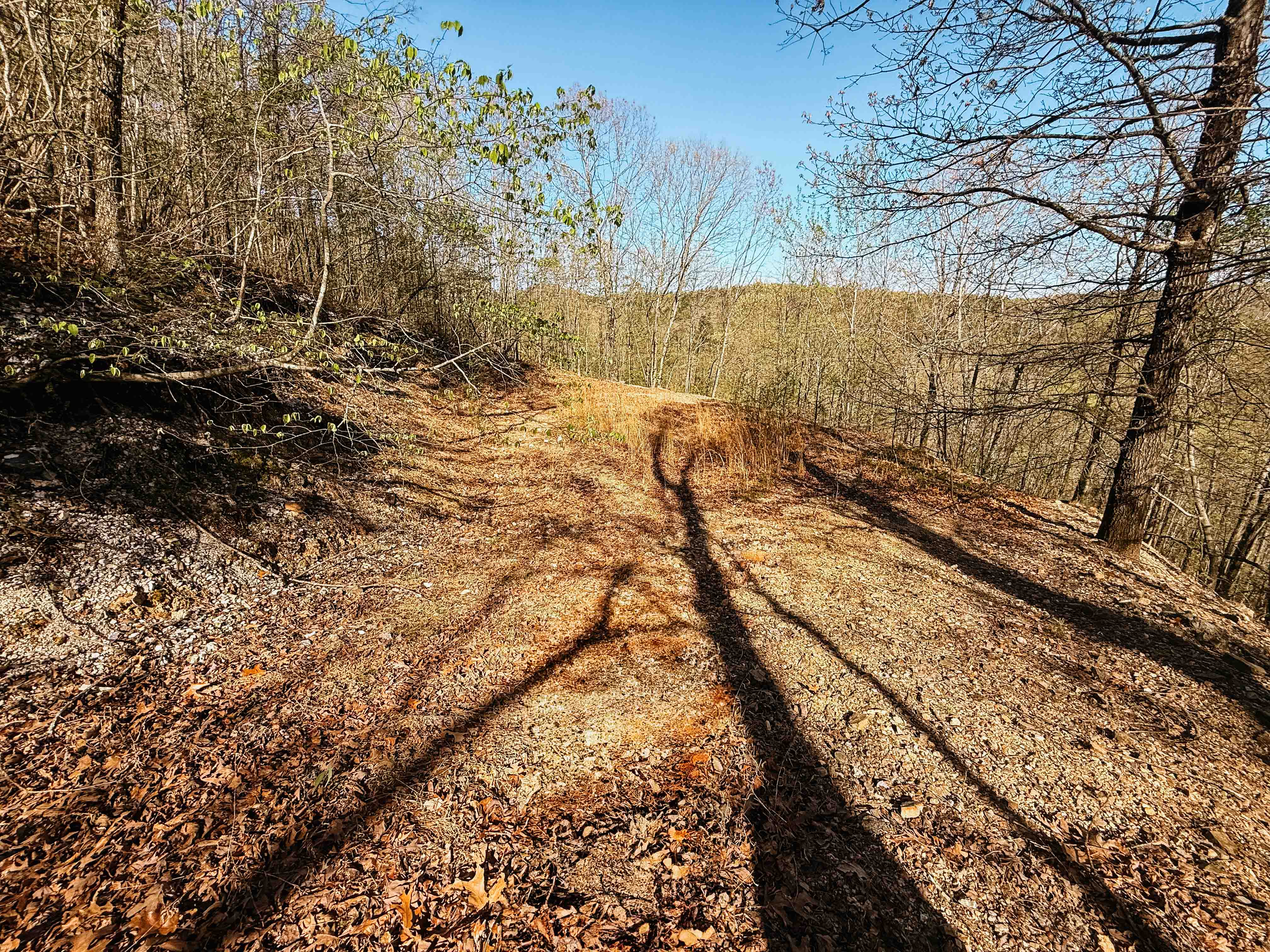 Glenwood, AR 71943 - image 49