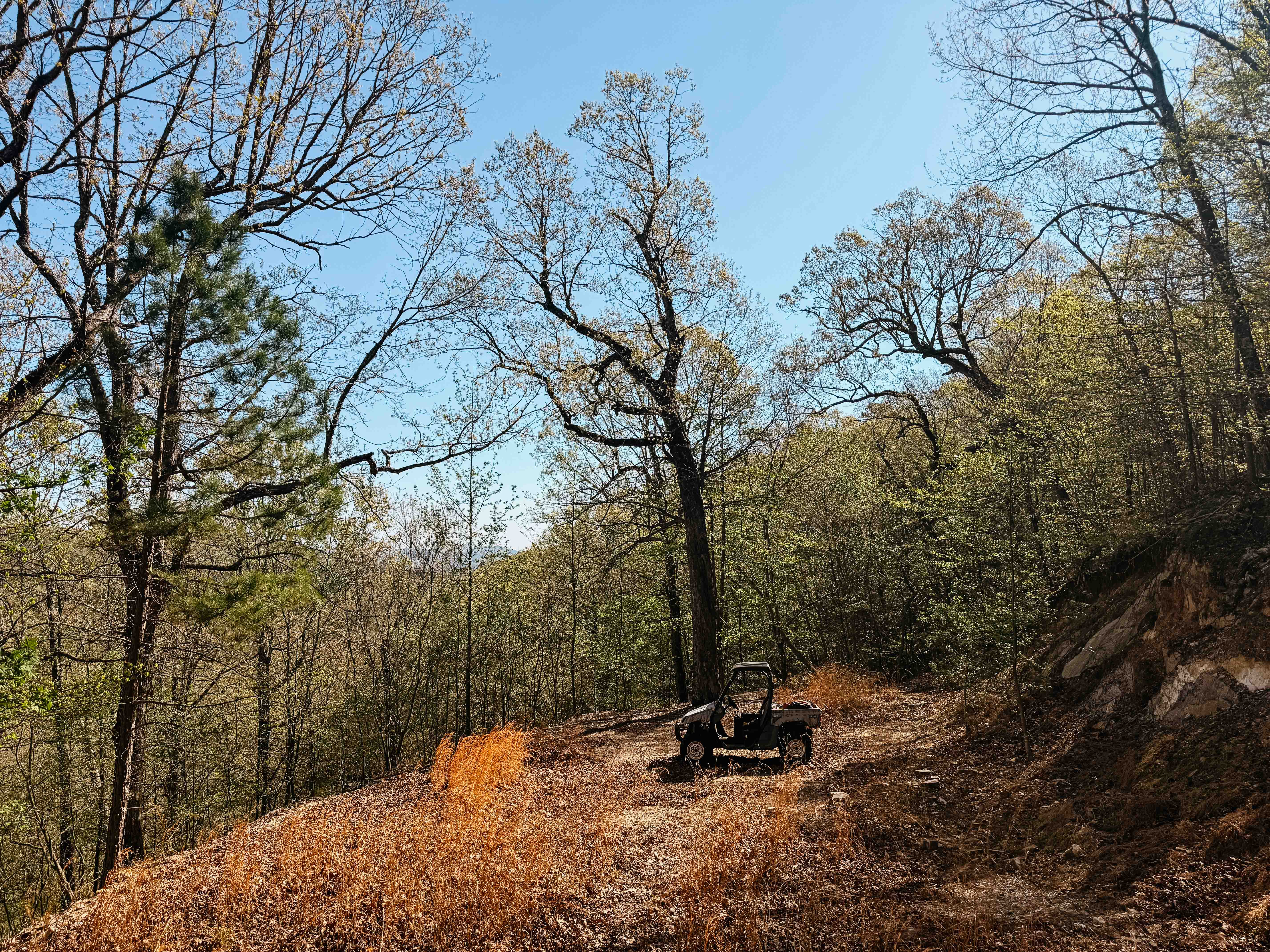 Glenwood, AR 71943 - image 46