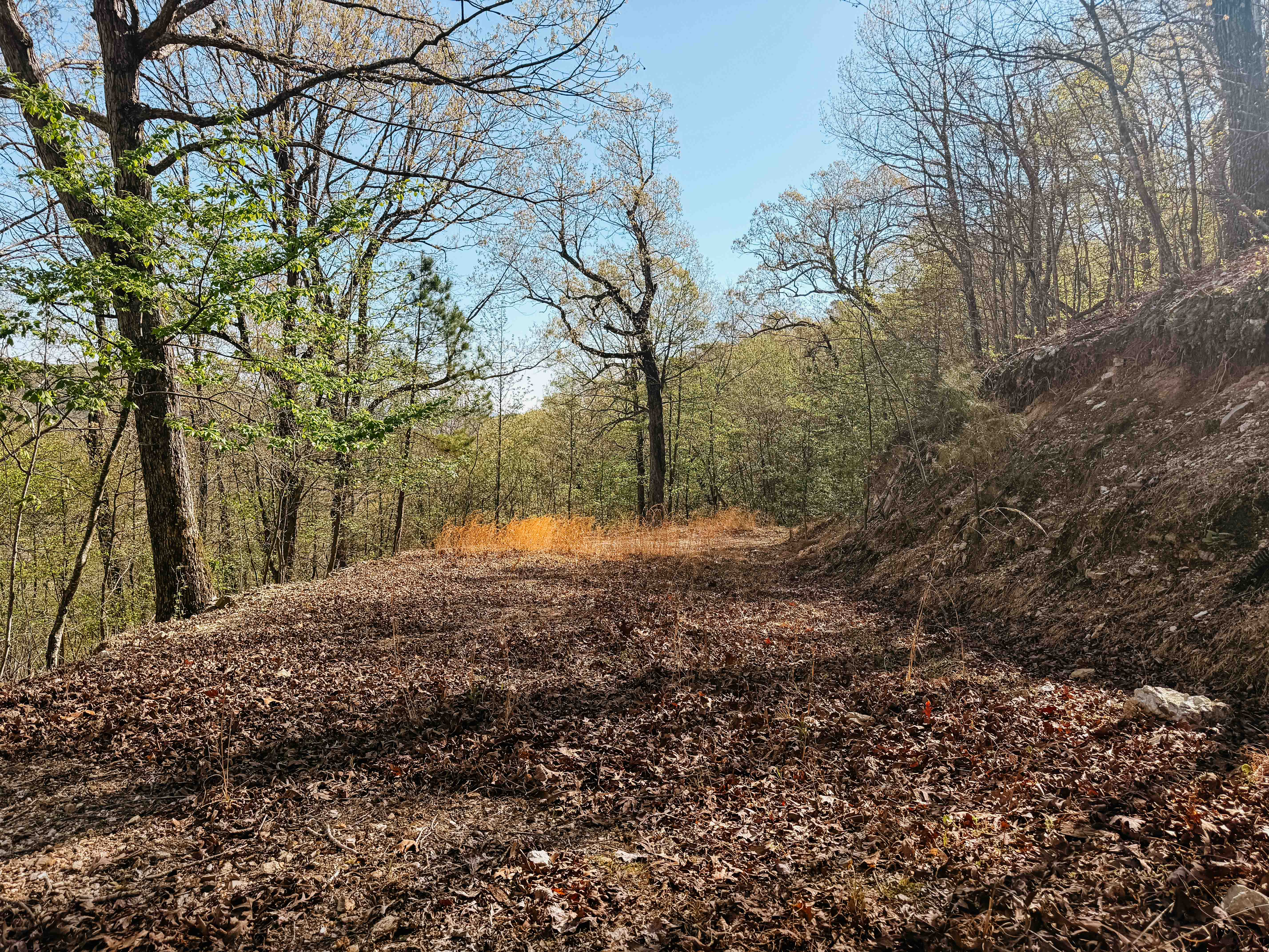Glenwood, AR 71943 - image 45
