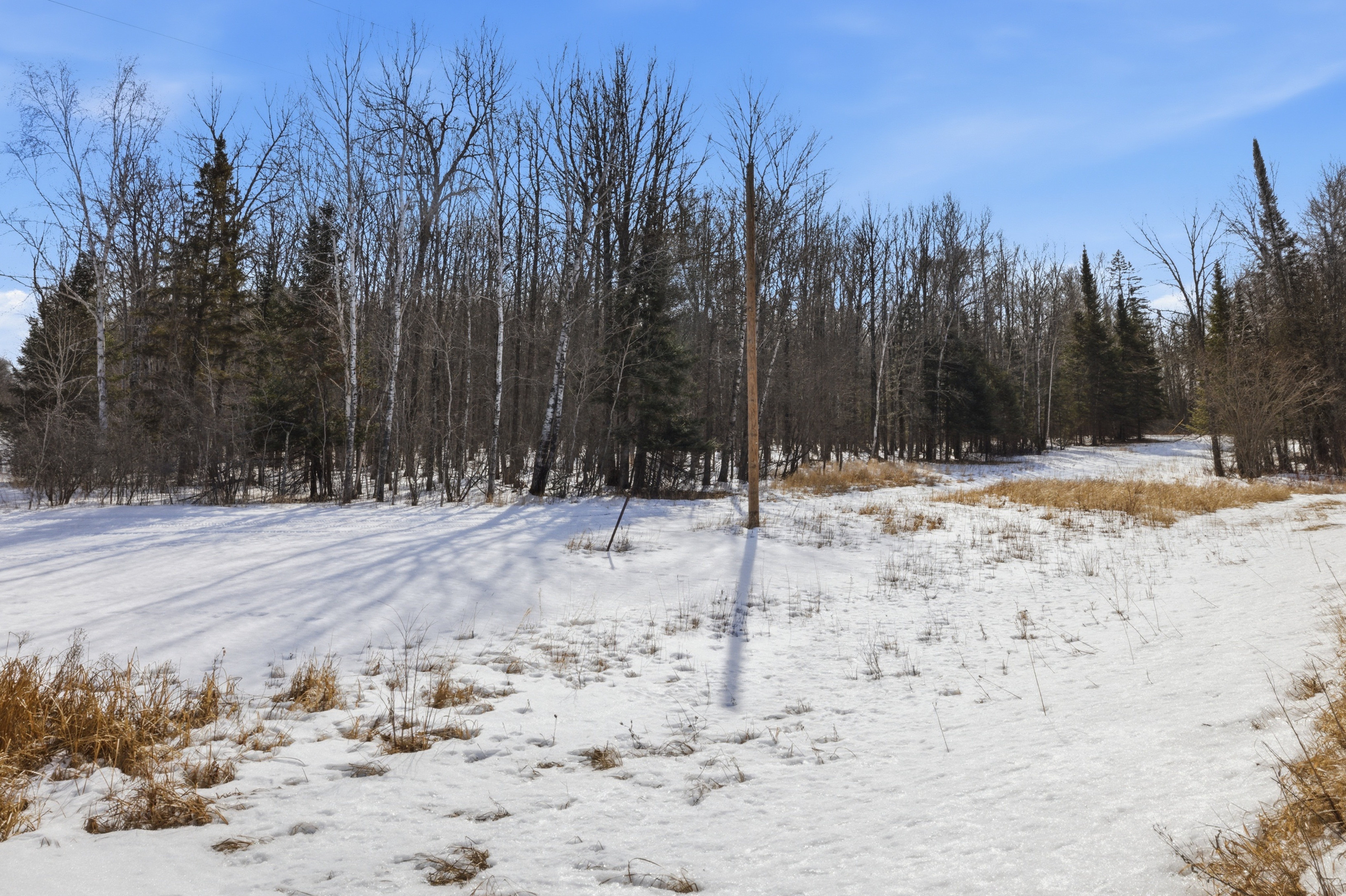 4416 County Road 1 - image 24