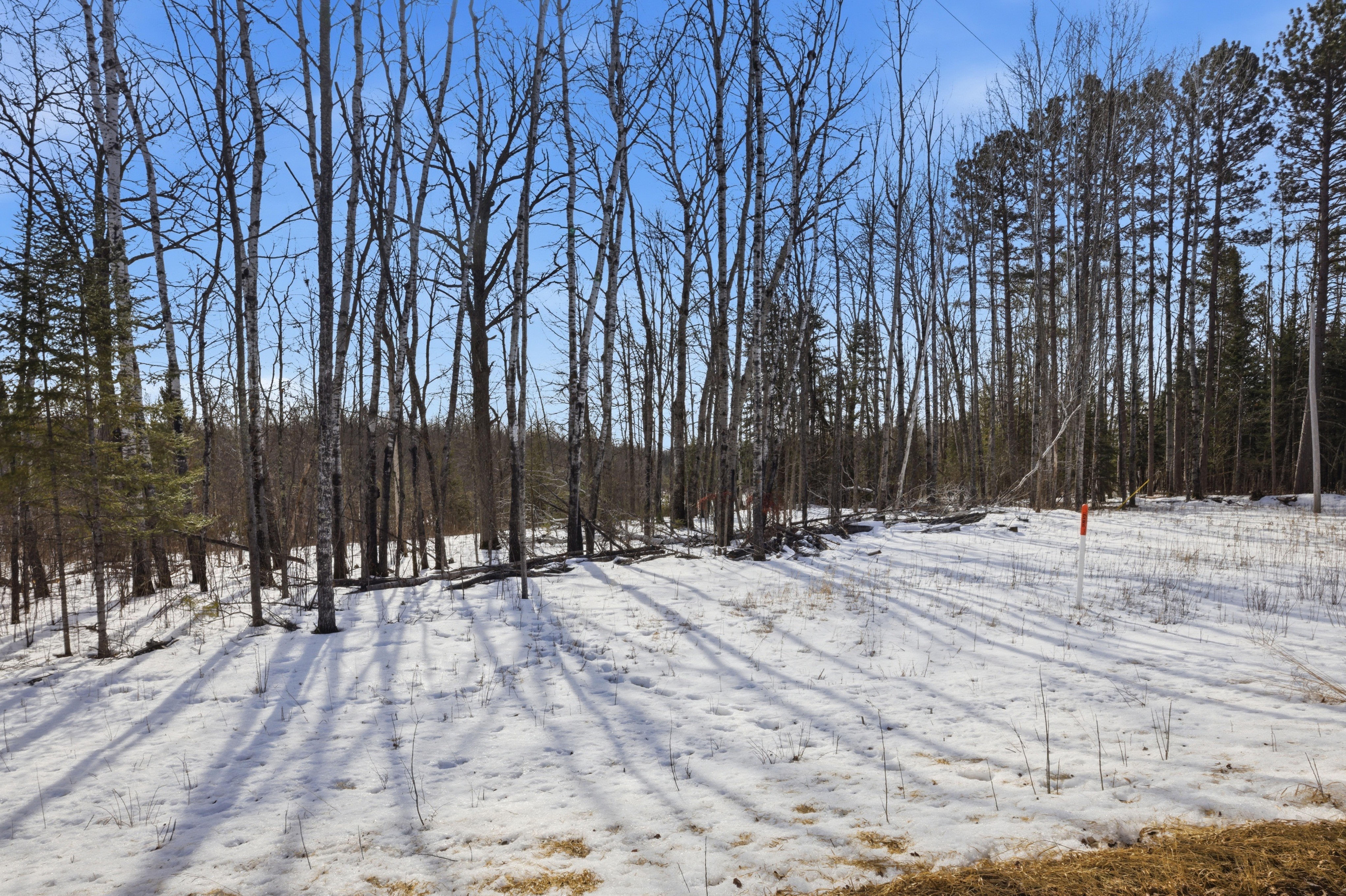 4416 County Road 1 - image 16