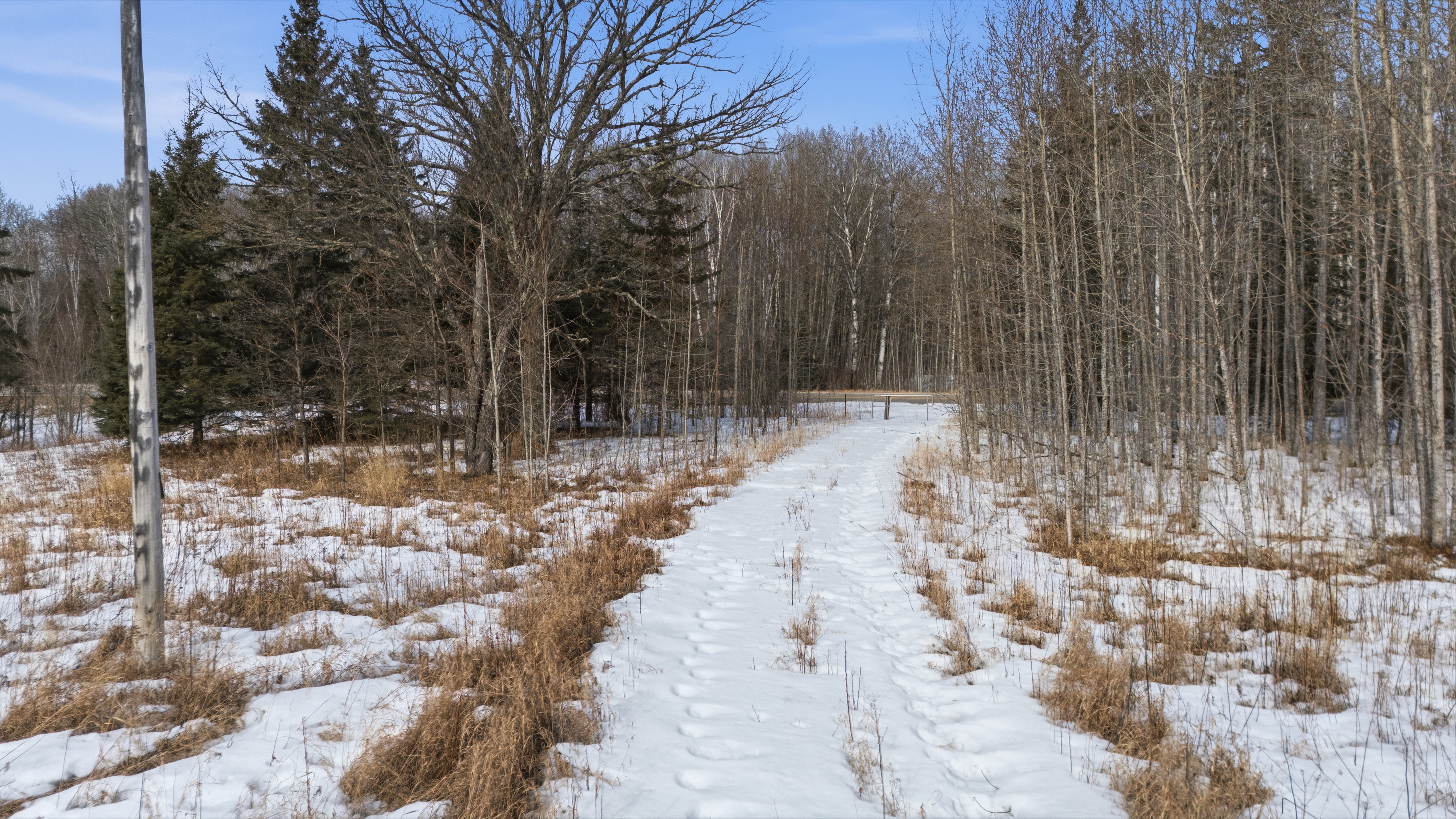 4416 County Road 1 - image 15