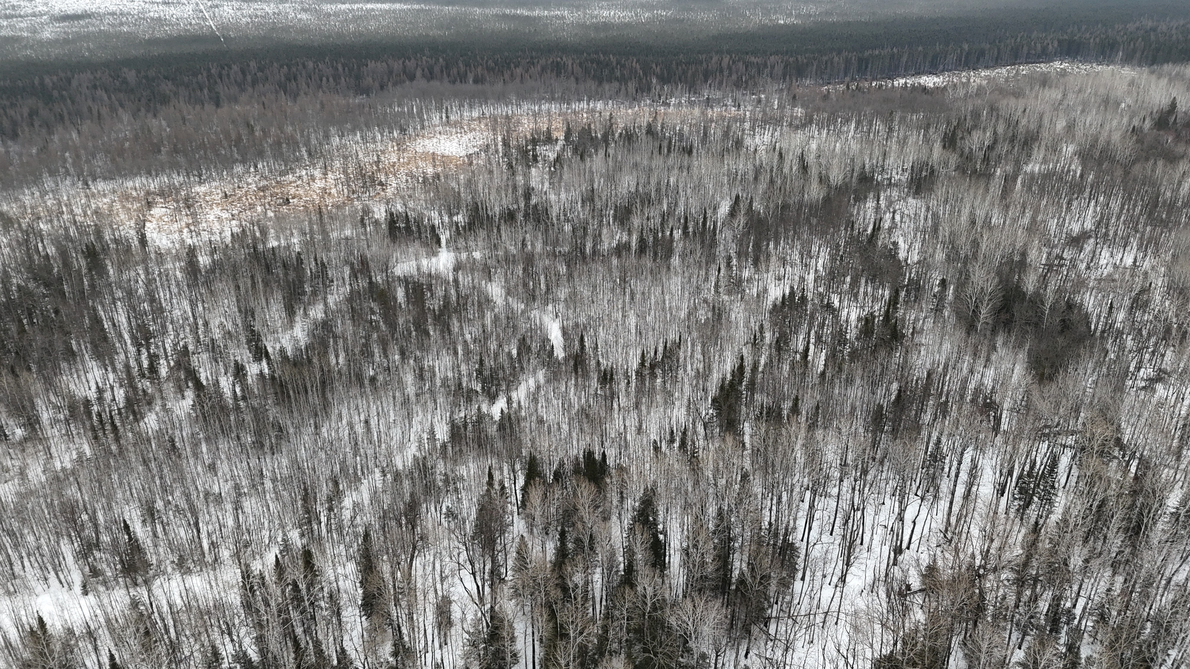 4416 County Road 1 - image 10