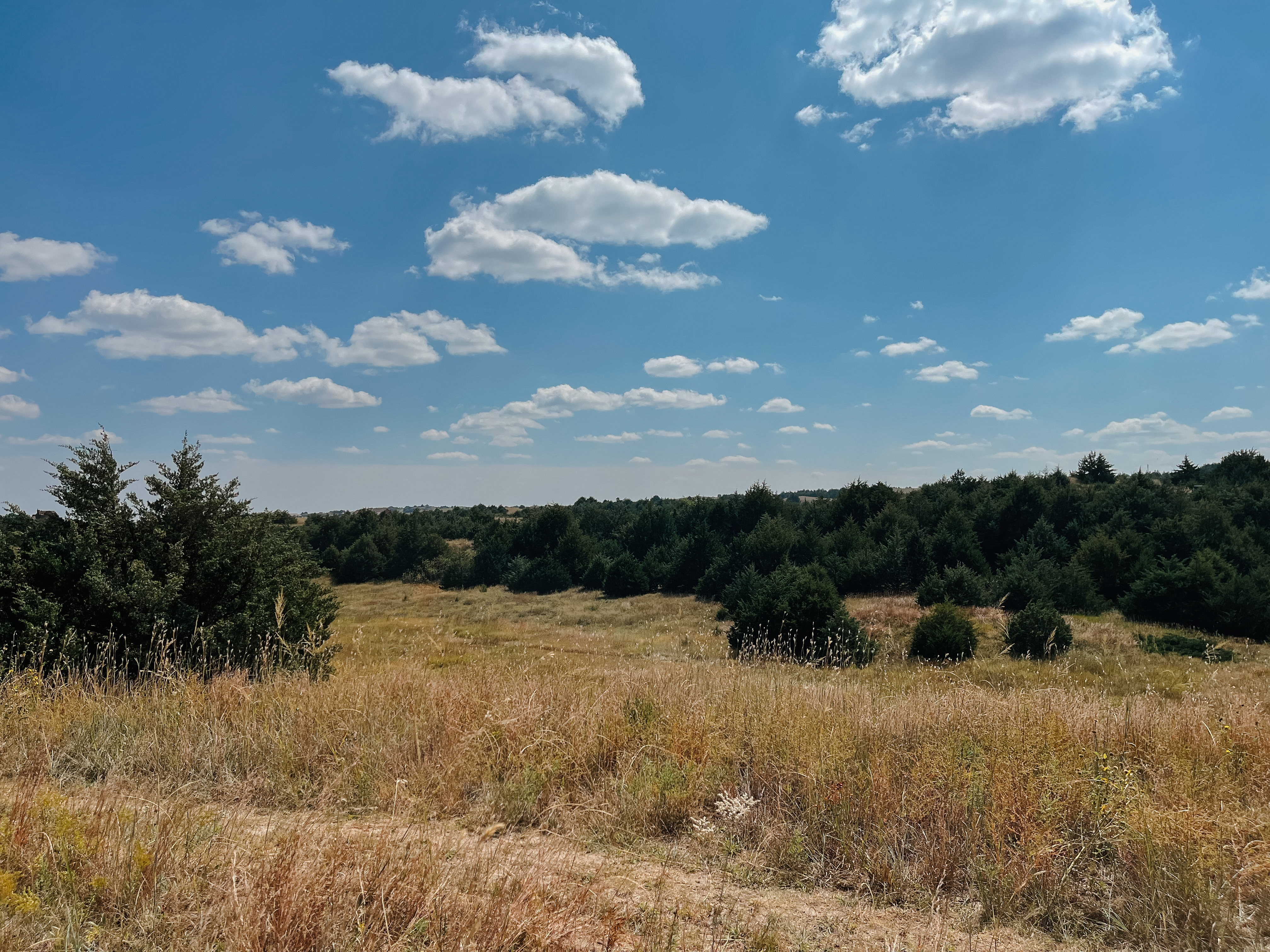 Burwell, NE 68823 - image 16