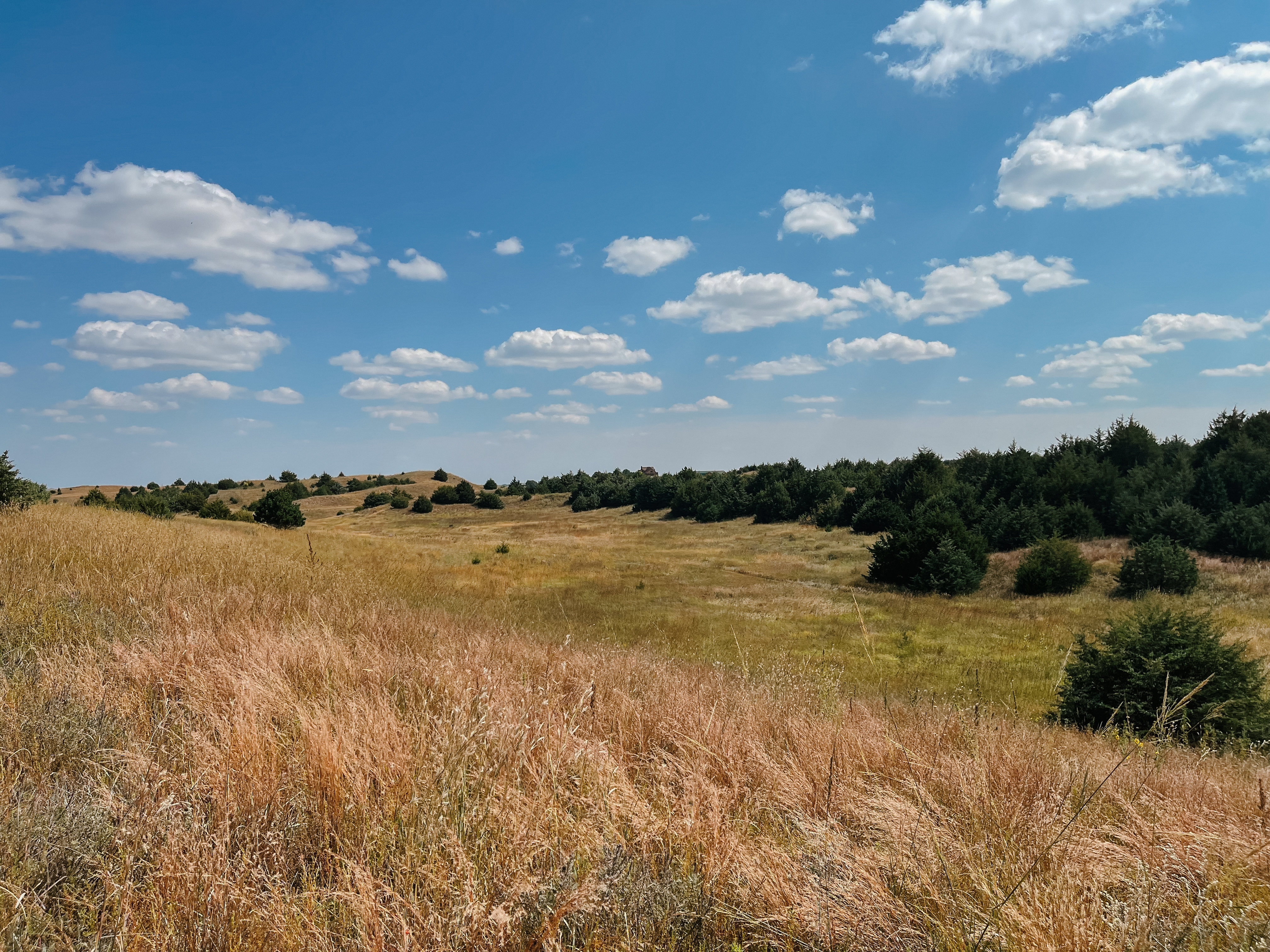Burwell, NE 68823 - image 14