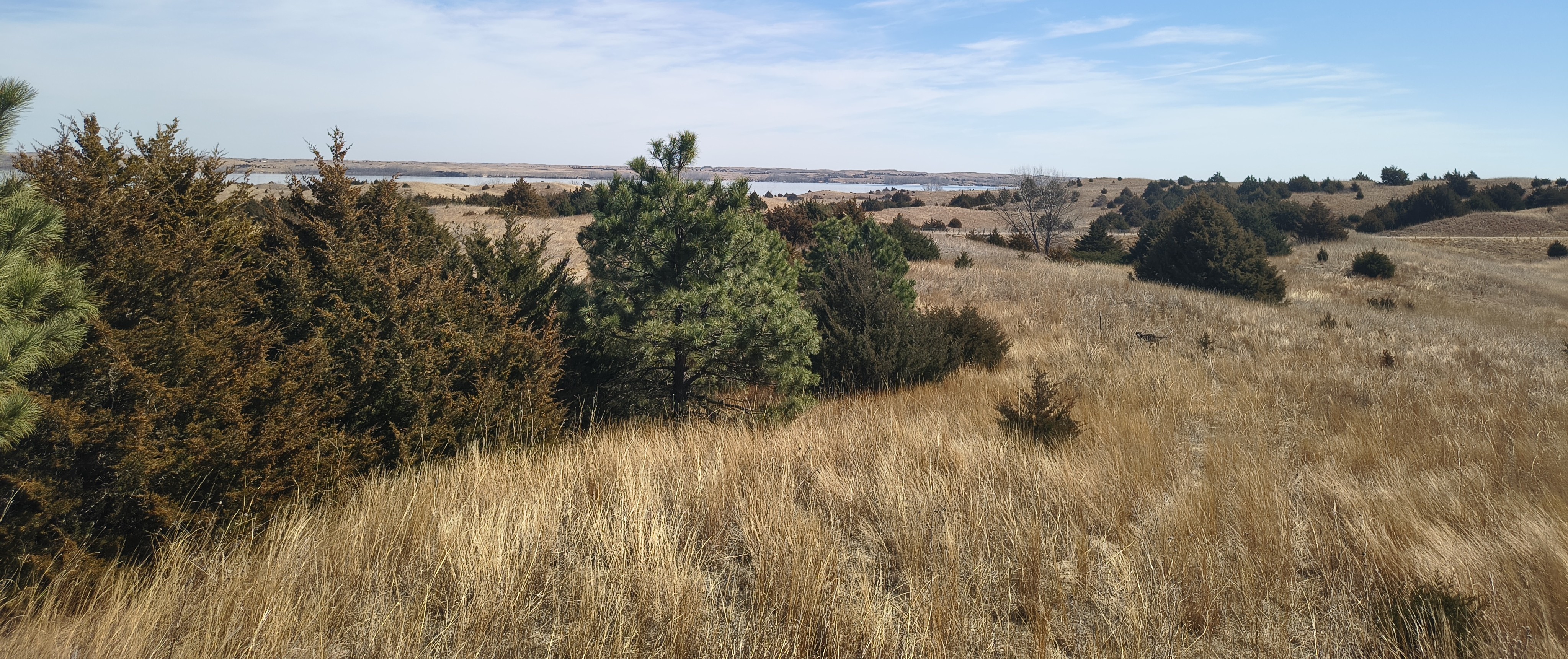 Burwell, NE 68823 - image 11