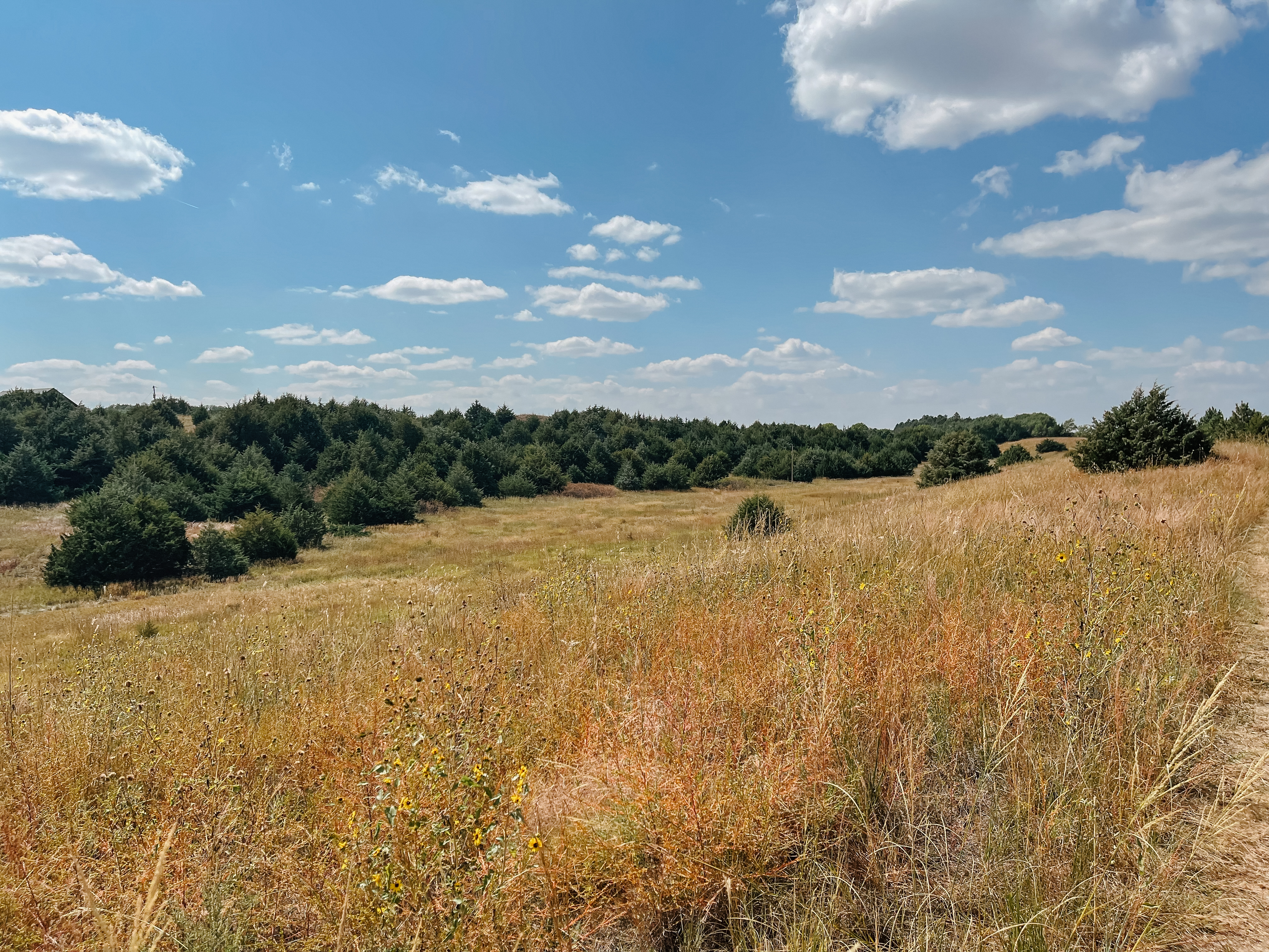 Burwell, NE 68823 - image 22