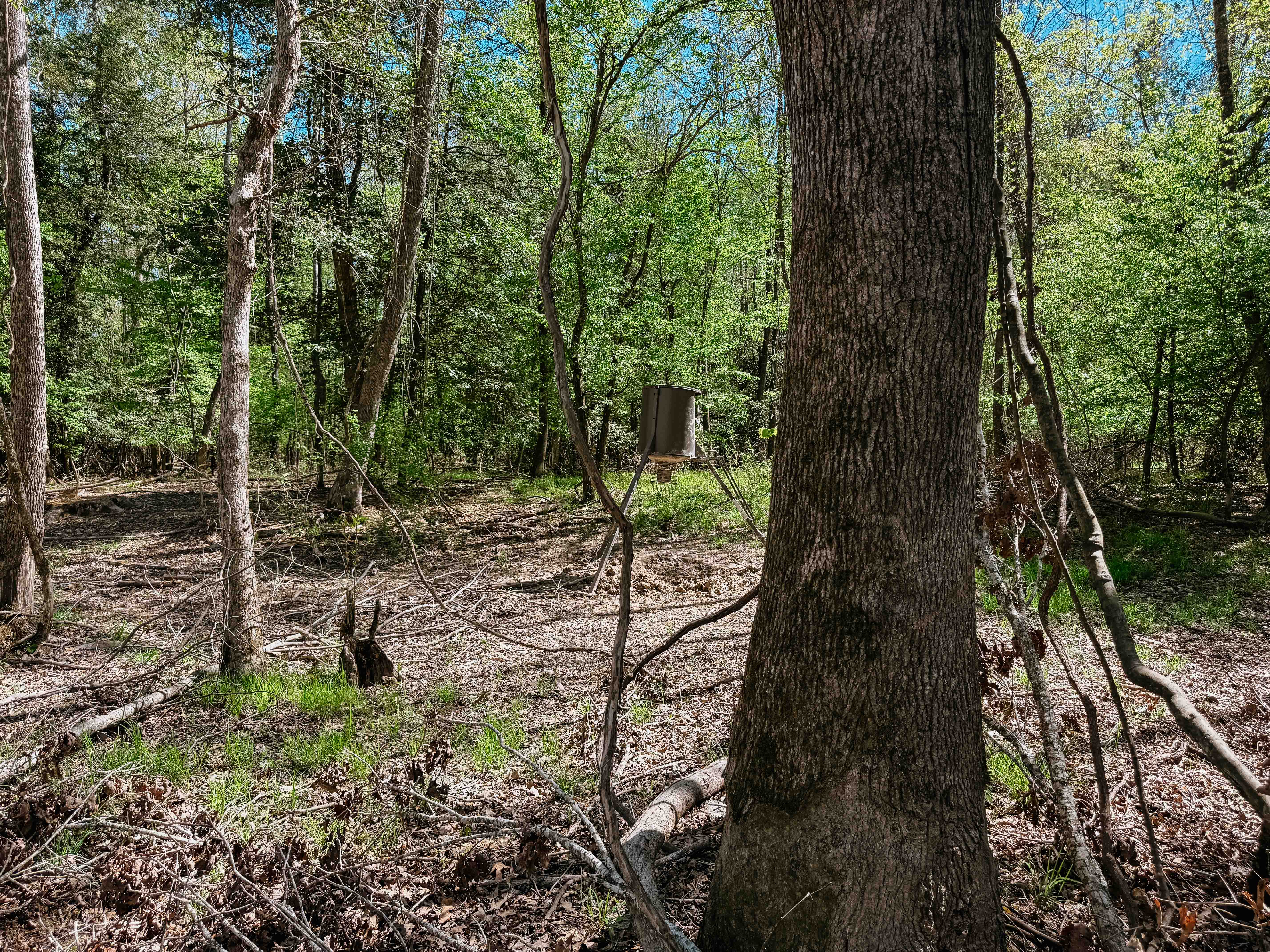 Fordyce, AR 71742 - image 26