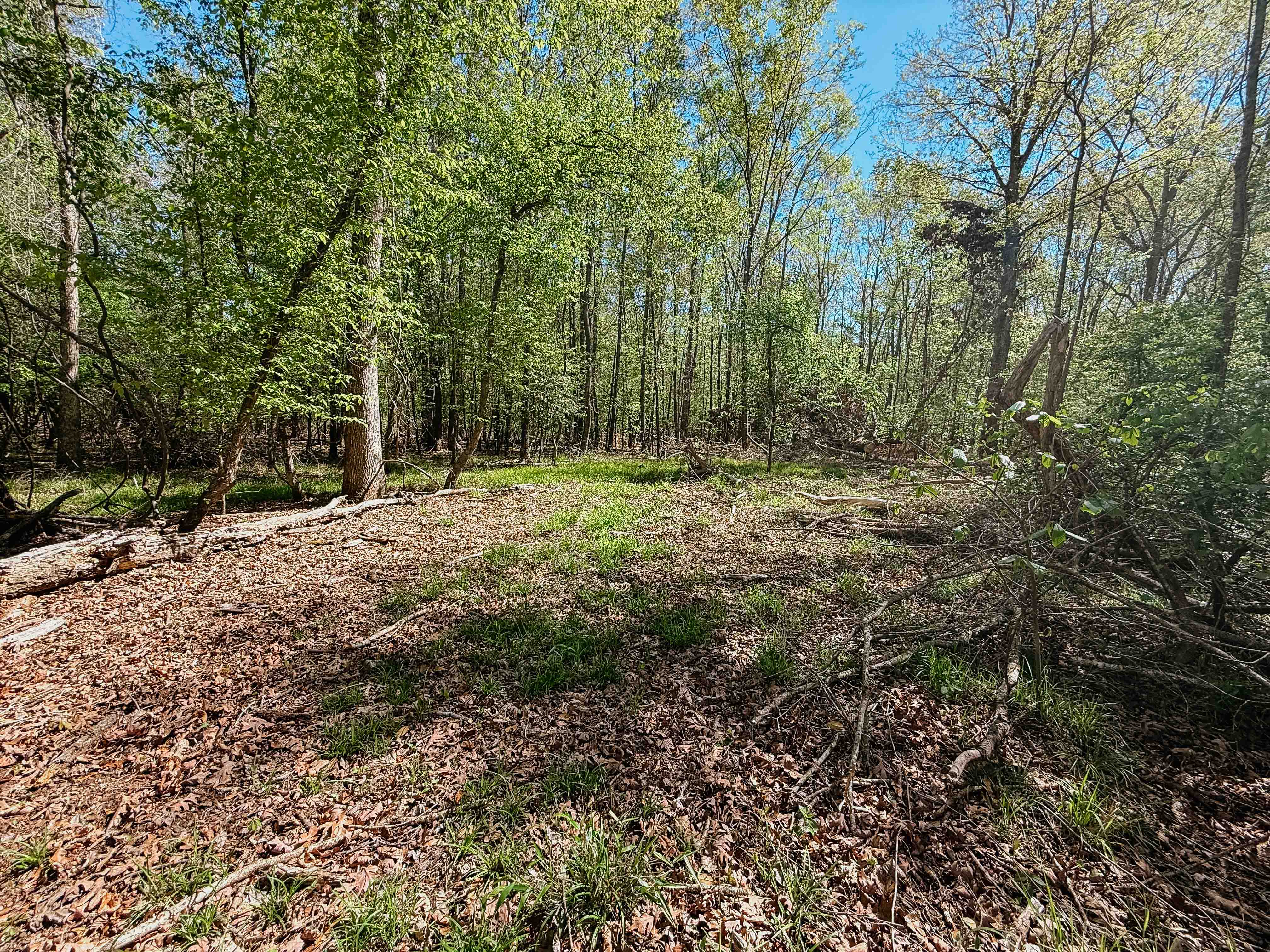 Fordyce, AR 71742 - image 27