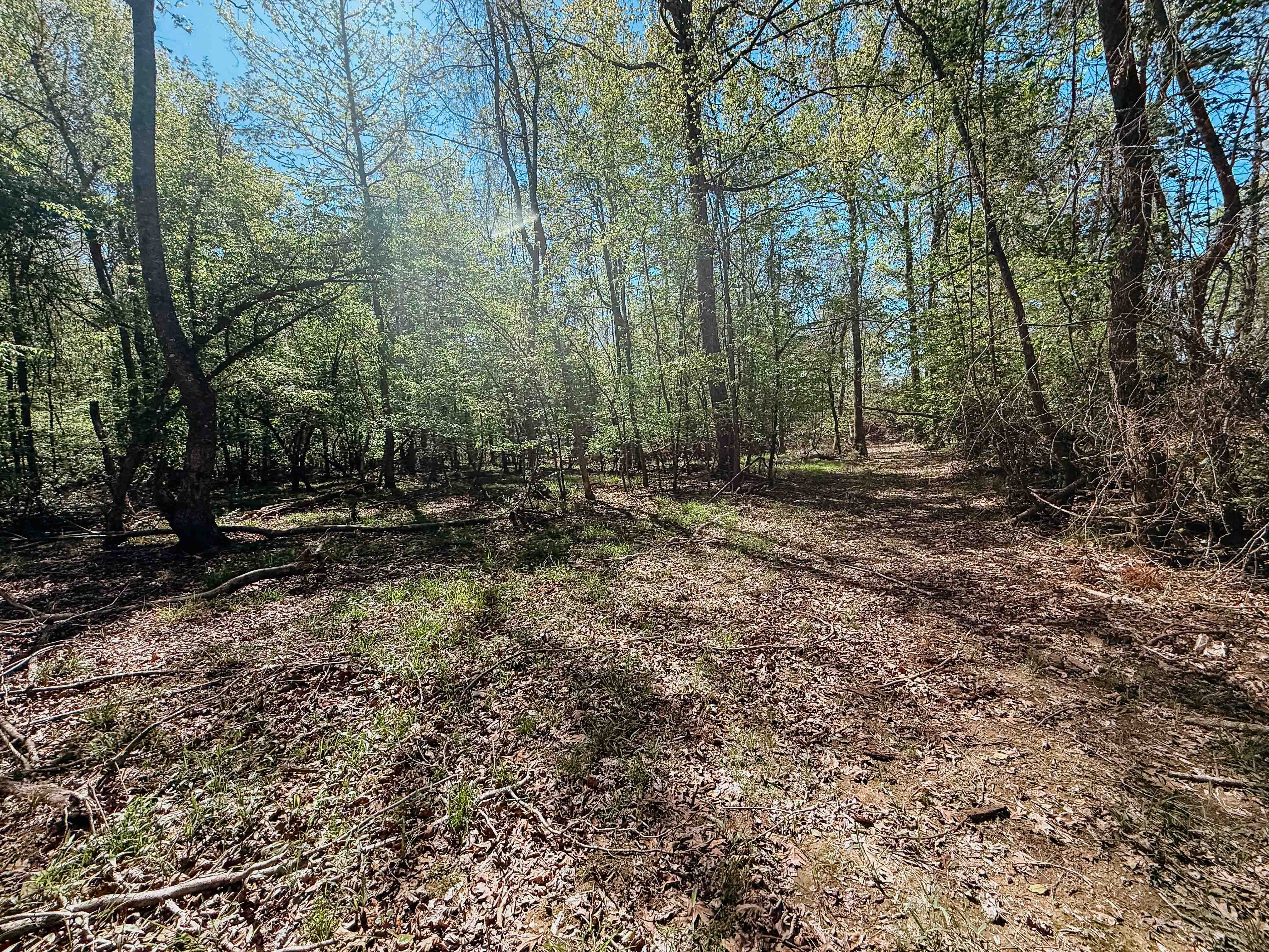 Fordyce, AR 71742 - image 28