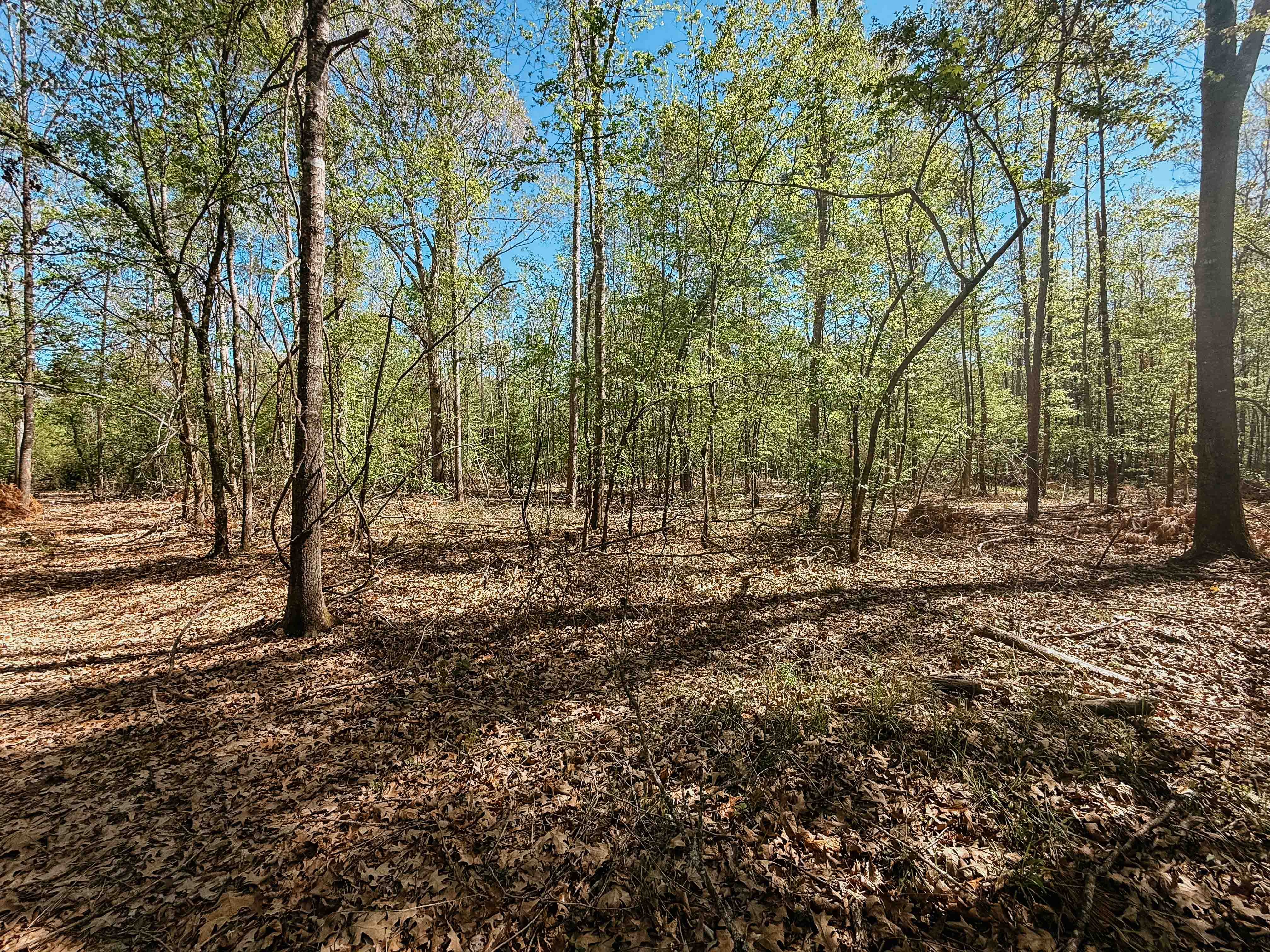 Fordyce, AR 71742 - image 29